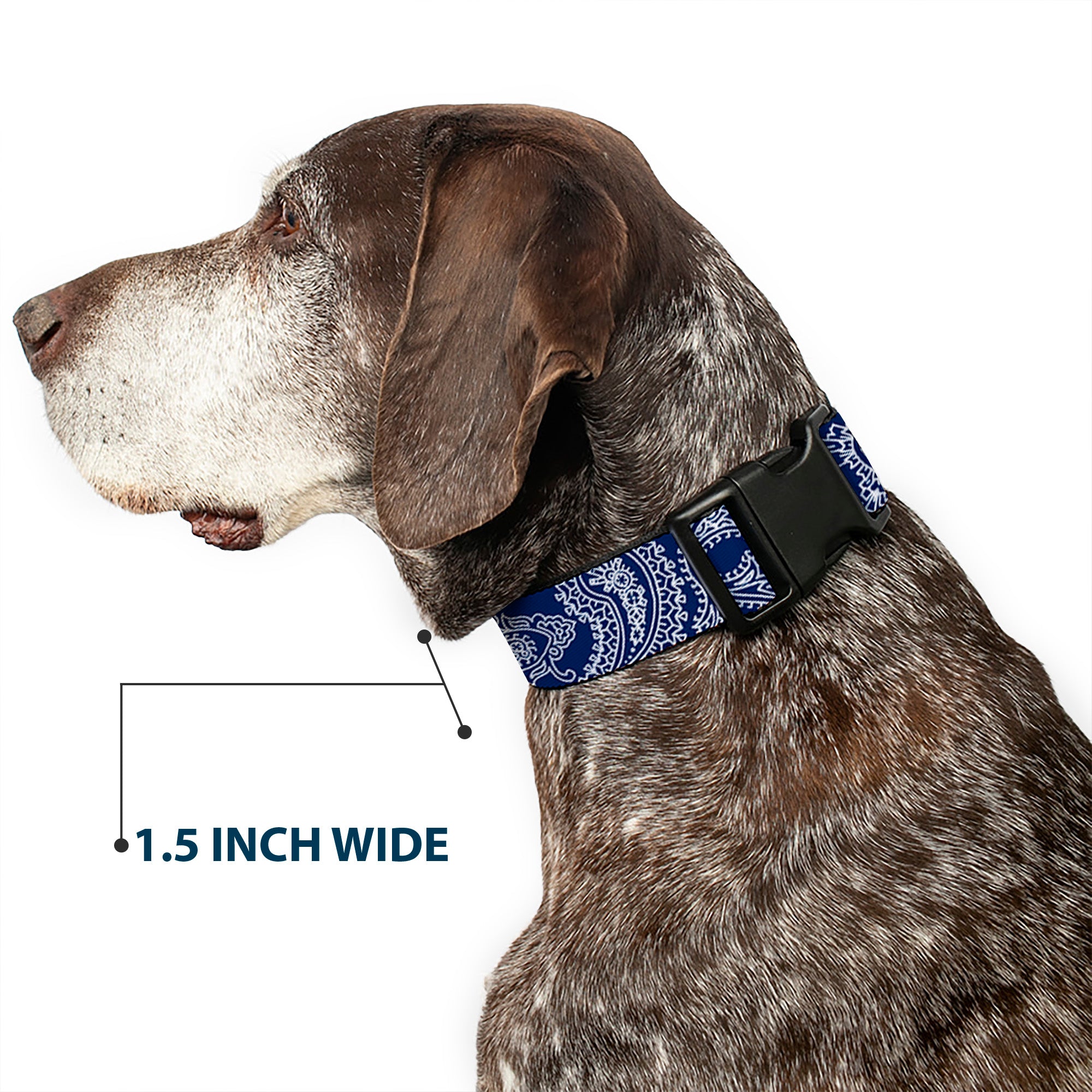 Plastic Clip Collar - Paisley Blue/White Plastic Clip Collars Buckle-Down