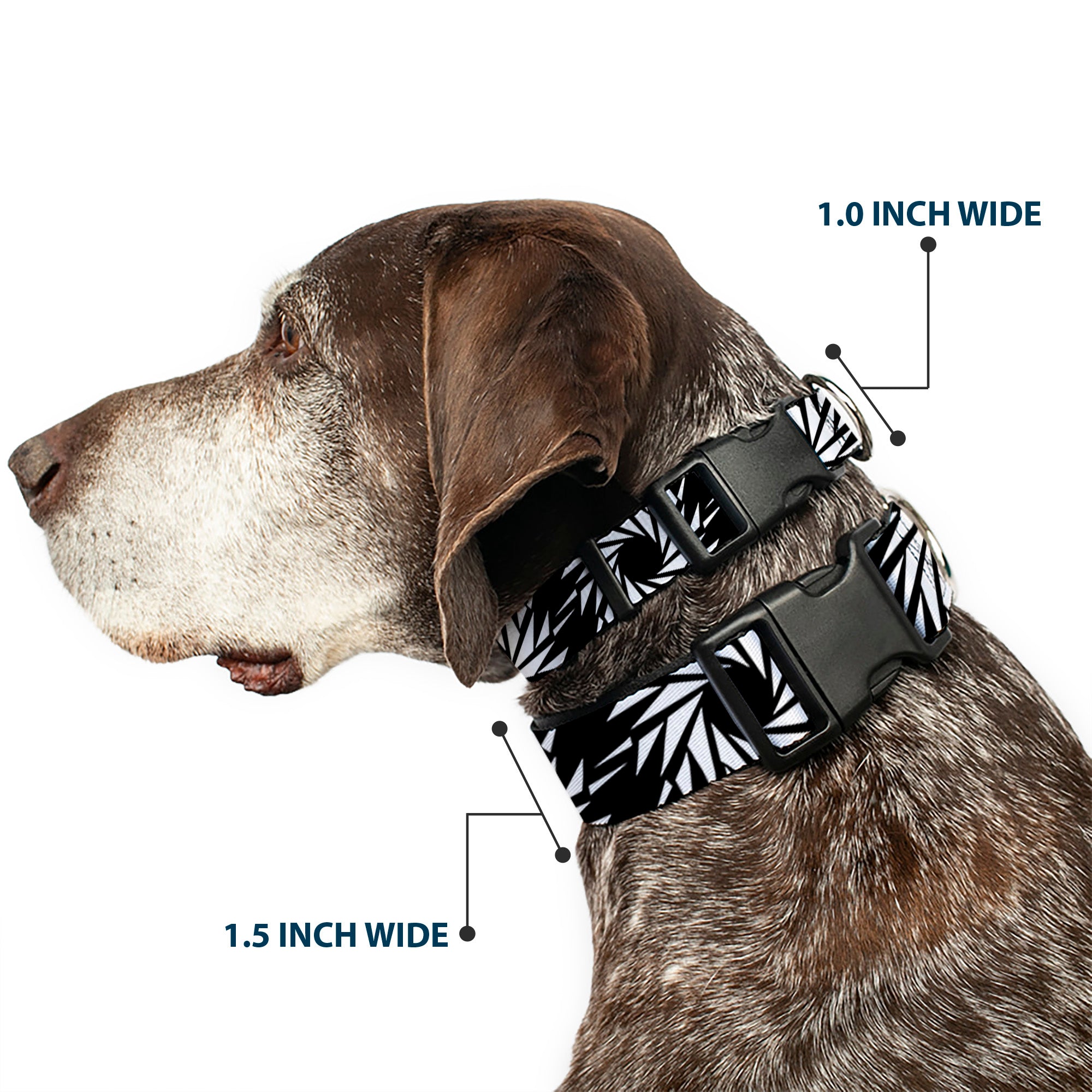 Plastic Clip Collar - Pinwheel Black/White Plastic Clip Collars Buckle-Down