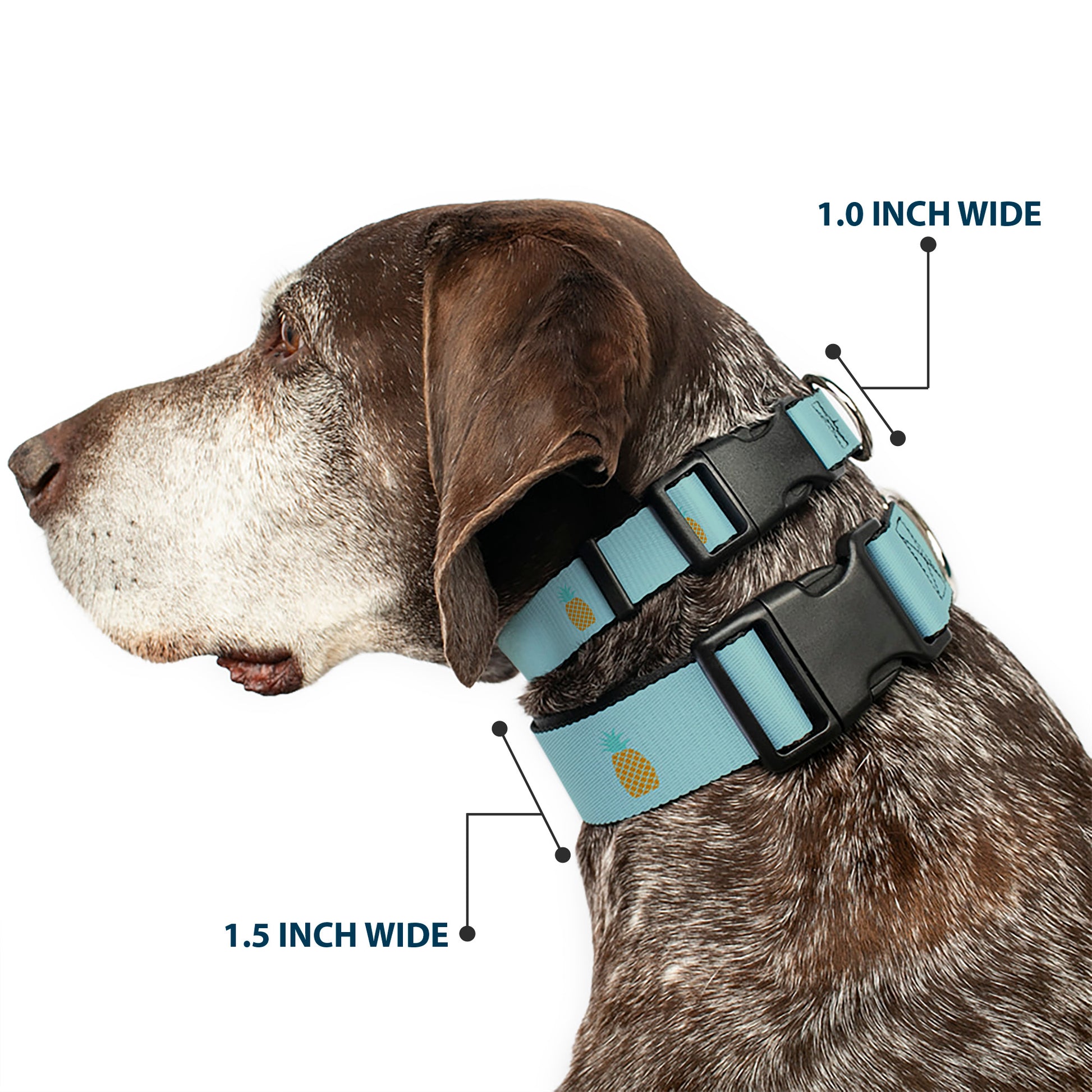Plastic Clip Collar - Pineapple Repeat Aqua Blue Plastic Clip Collars Buckle-Down