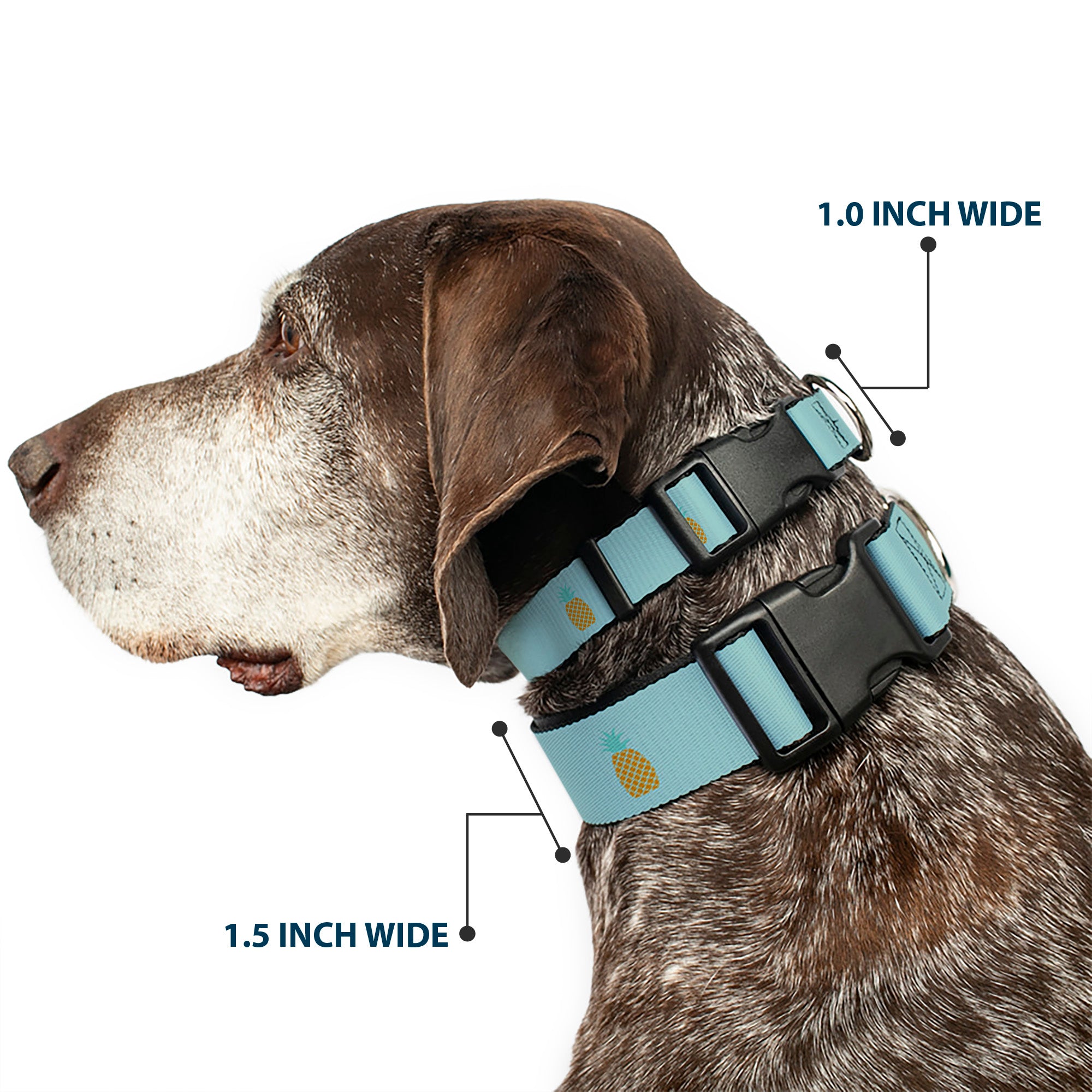 Plastic Clip Collar - Pineapple Repeat Aqua Blue Plastic Clip Collars Buckle-Down
