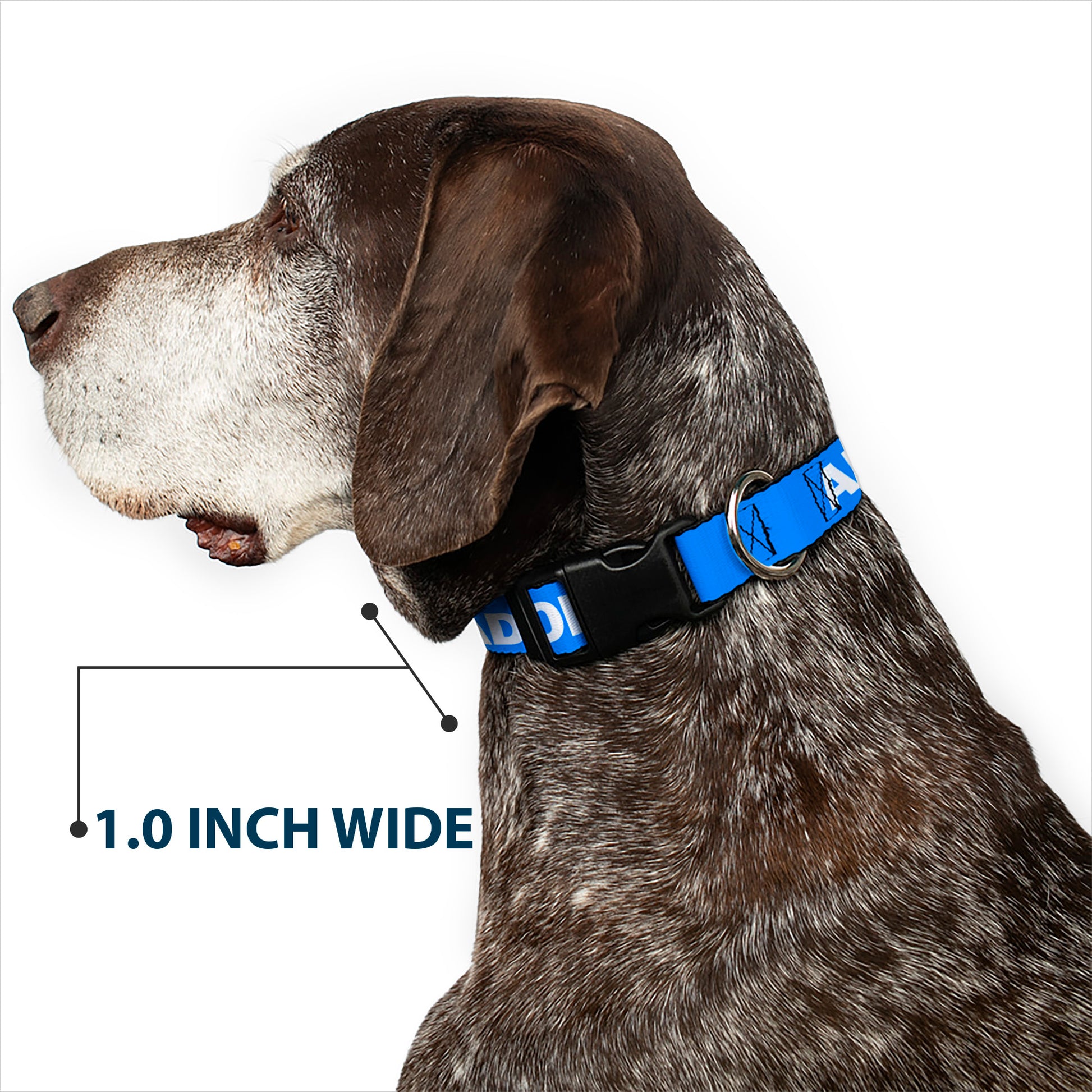 Plastic Clip Collar - Pet Quote ADOPT DON'T SHOP Blue/White Plastic Clip Collars Buckle-Down