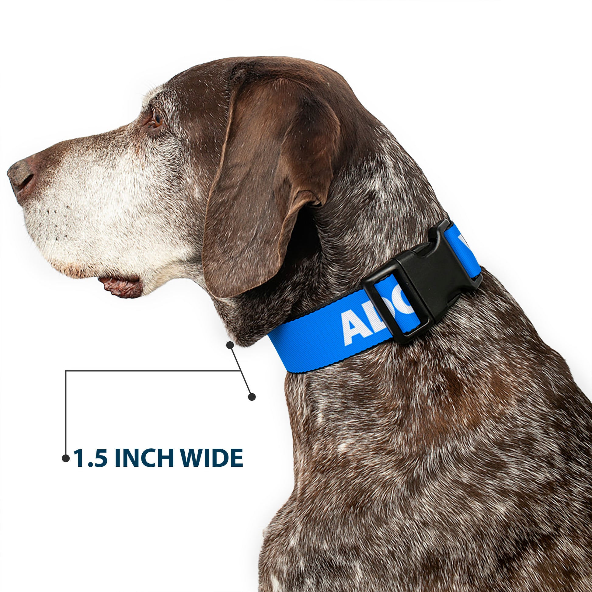 Plastic Clip Collar - Pet Quote ADOPT DON'T SHOP Blue/White Plastic Clip Collars Buckle-Down