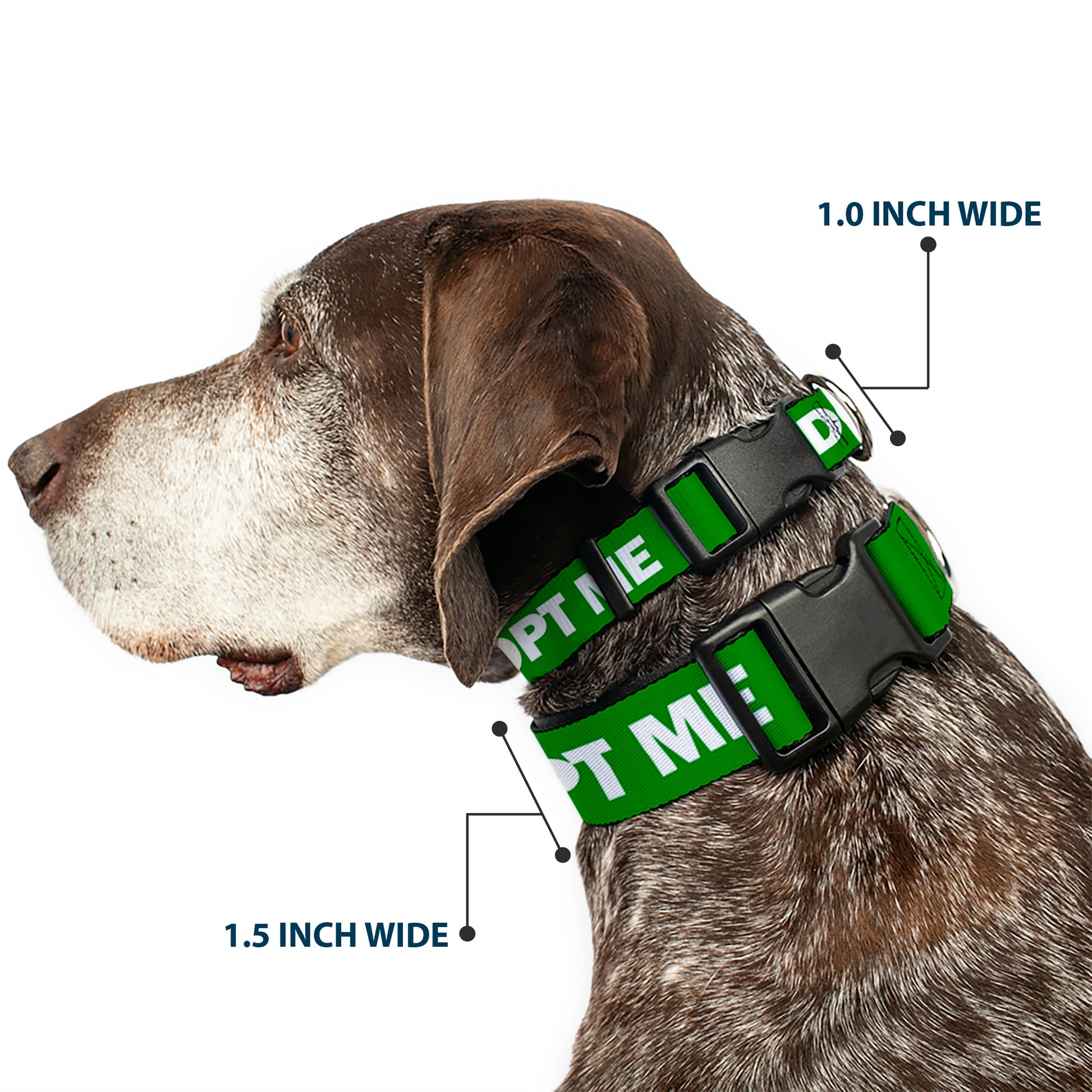 Plastic Clip Collar - Pet Quote ADOPT ME Green/White Plastic Clip Collars Buckle-Down