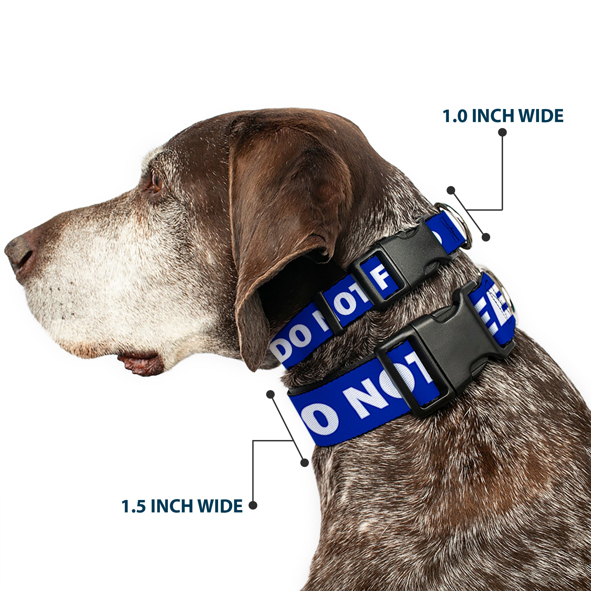 Plastic Clip Collar - Pet Quote DO NOT FEED Navy/White Plastic Clip Collars Buckle-Down