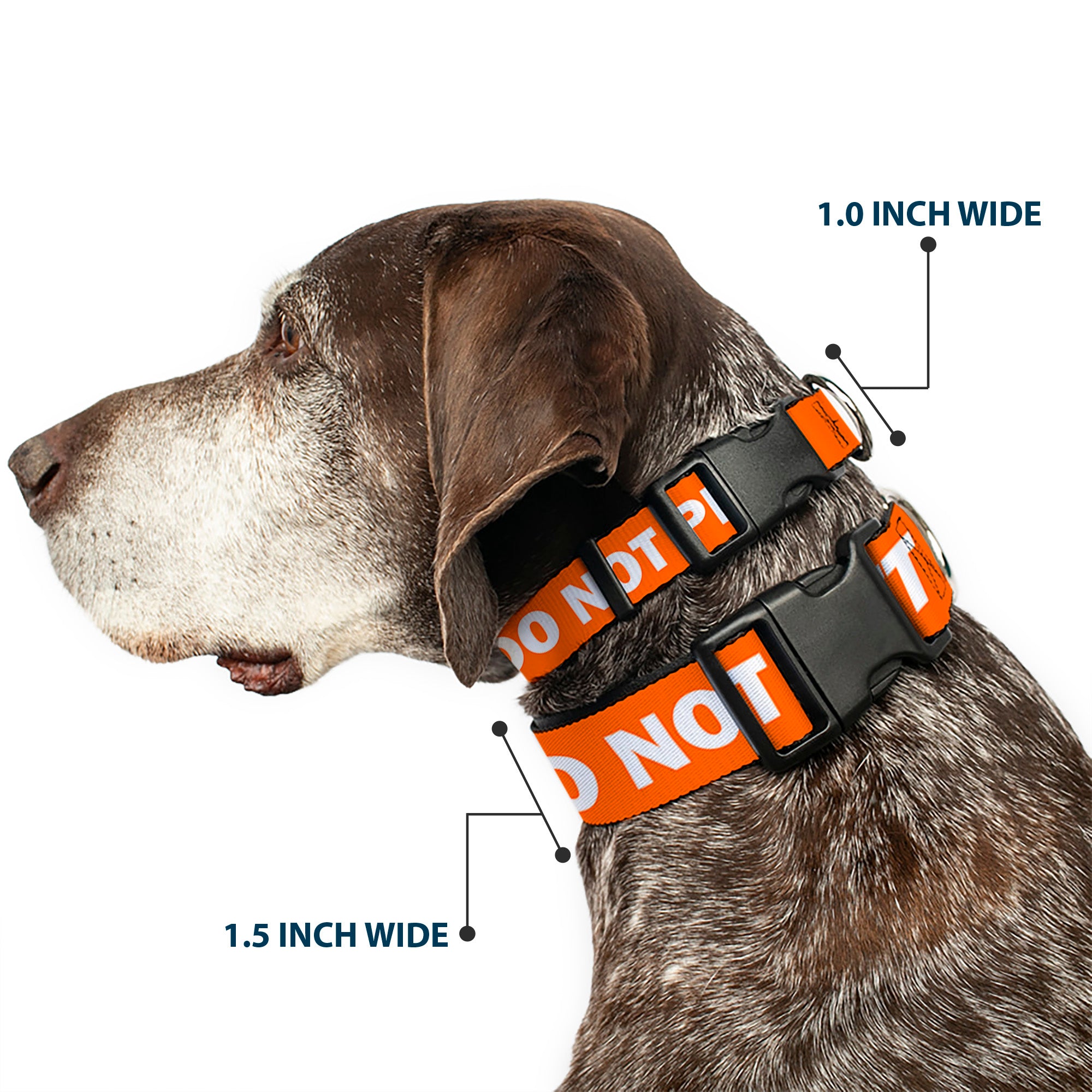 Plastic Clip Collar - Pet Quote DO NOT PET Orange/White Plastic Clip Collars Buckle-Down