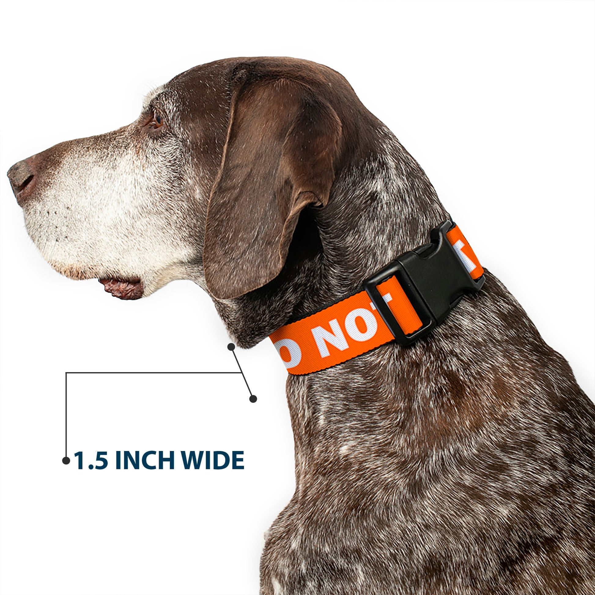 Plastic Clip Collar - Pet Quote DO NOT PET Orange/White Plastic Clip Collars Buckle-Down