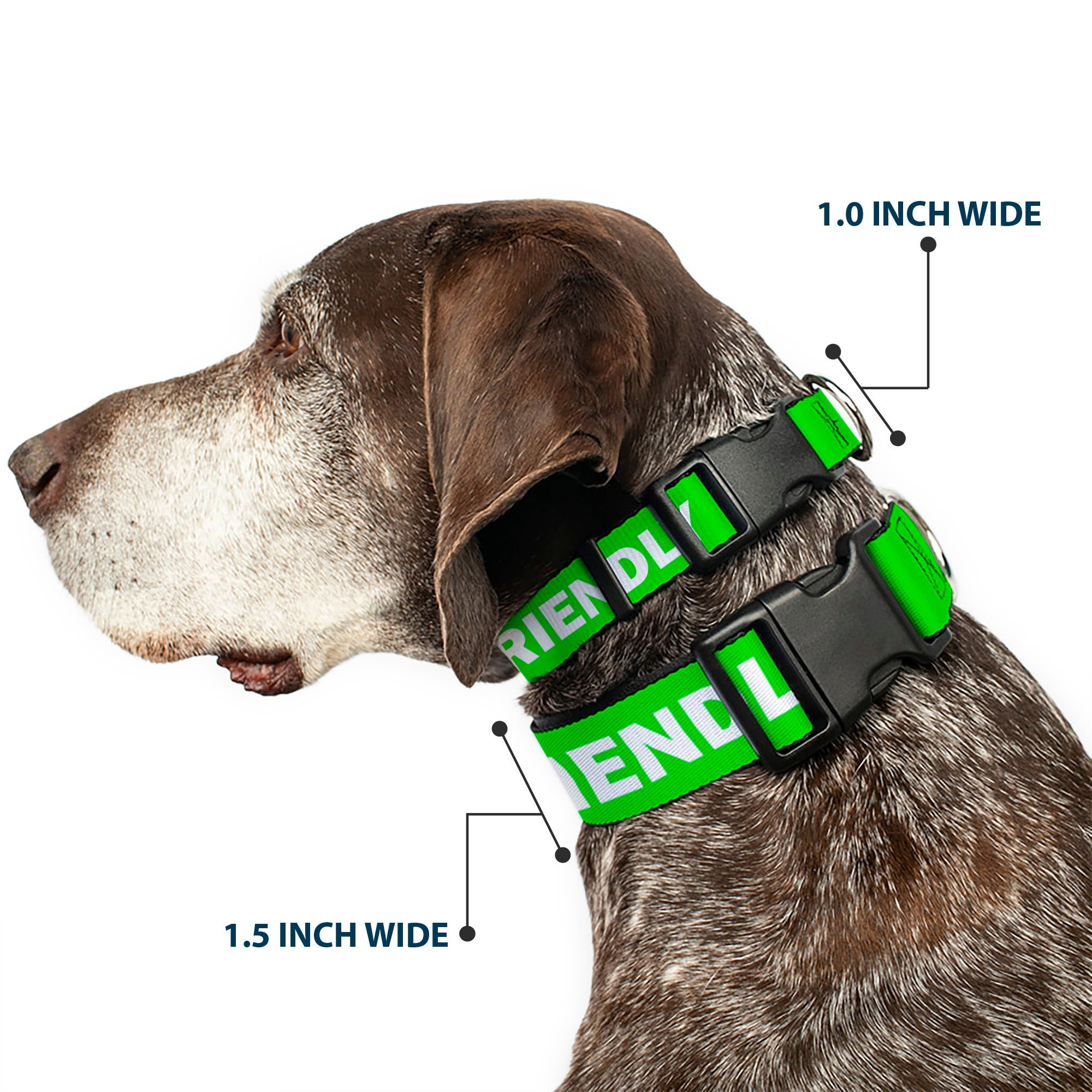 Plastic Clip Collar - Pet Quote FRIENDLY Green/White Plastic Clip Collars Buckle-Down