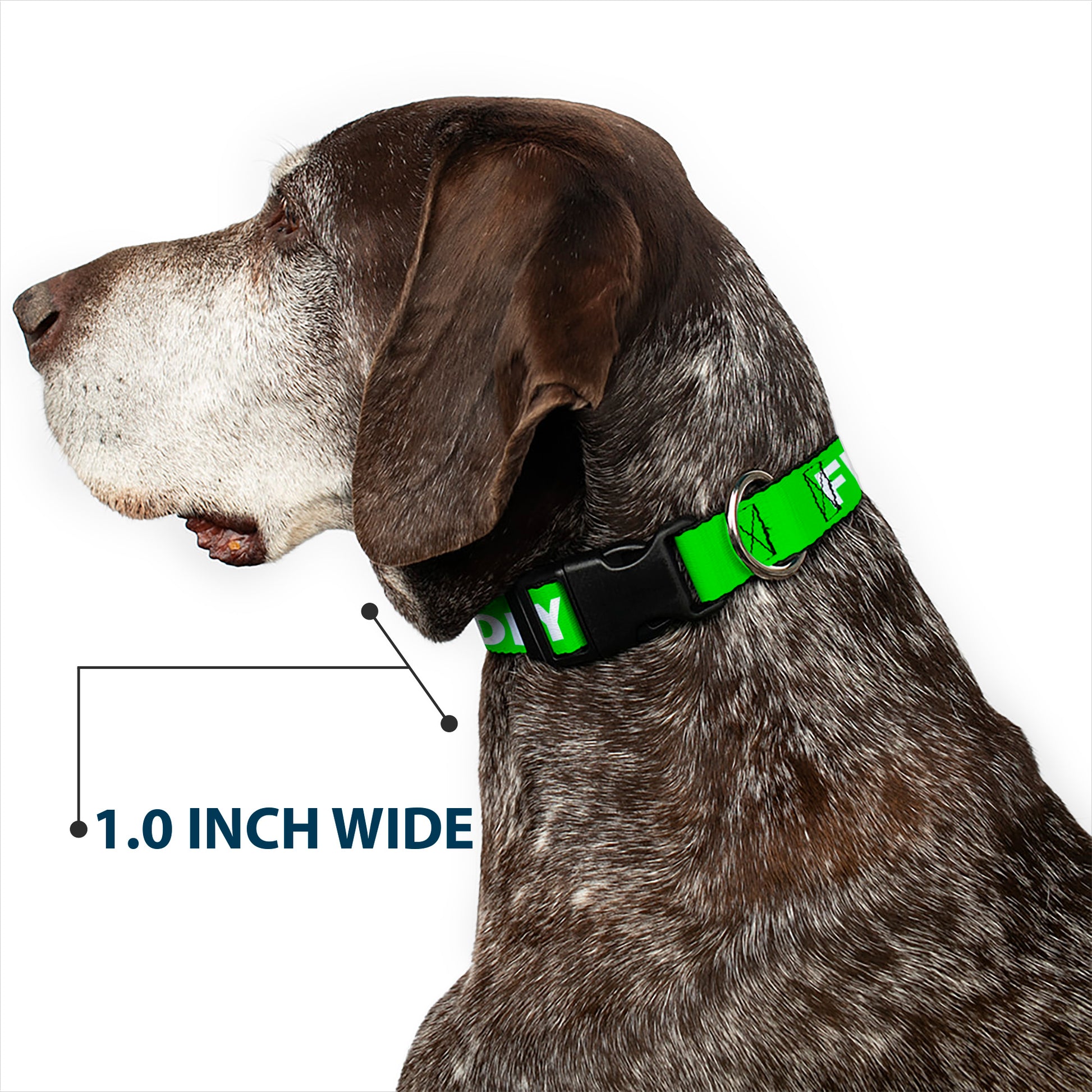Plastic Clip Collar - Pet Quote FRIENDLY Green/White Plastic Clip Collars Buckle-Down