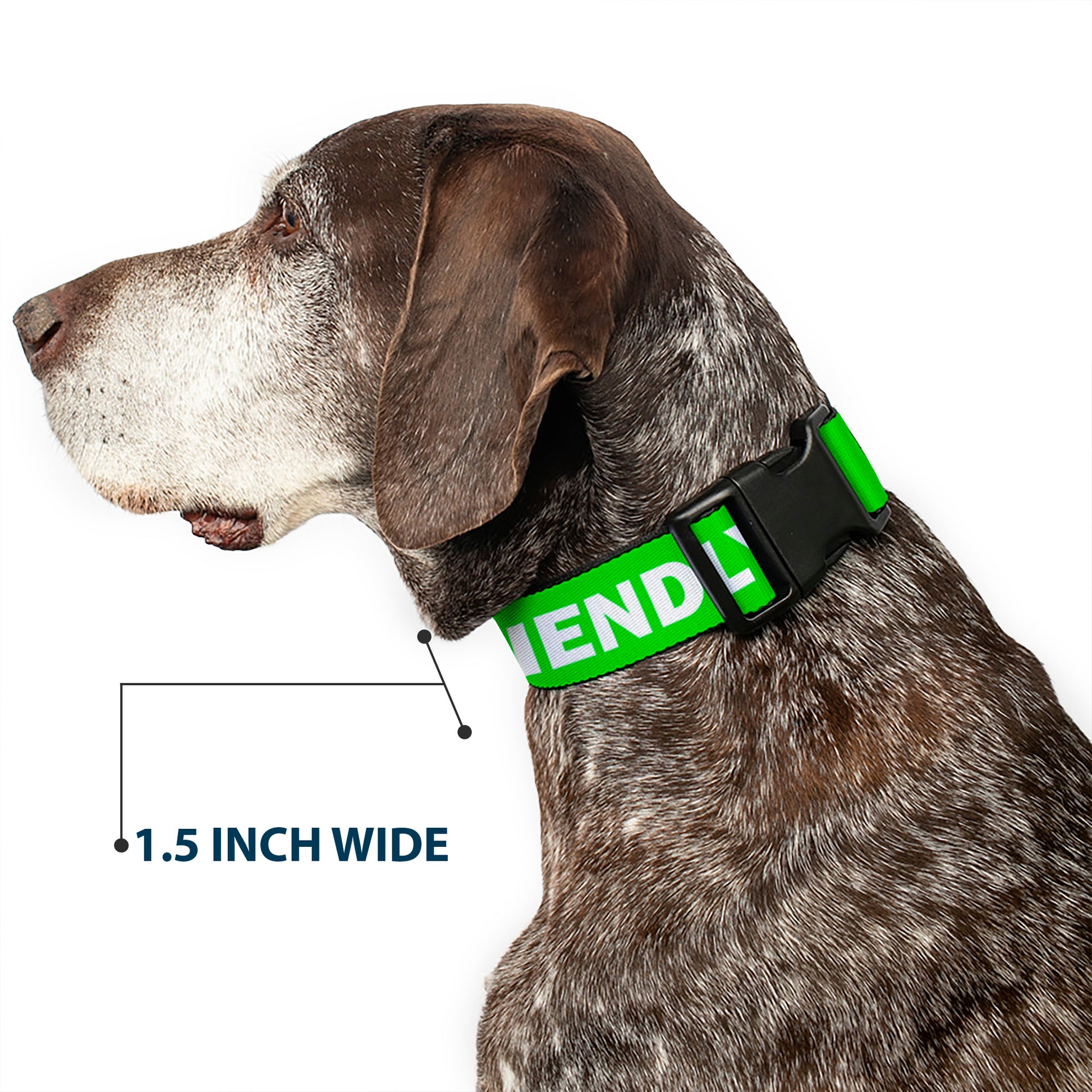 Plastic Clip Collar - Pet Quote FRIENDLY Green/White Plastic Clip Collars Buckle-Down