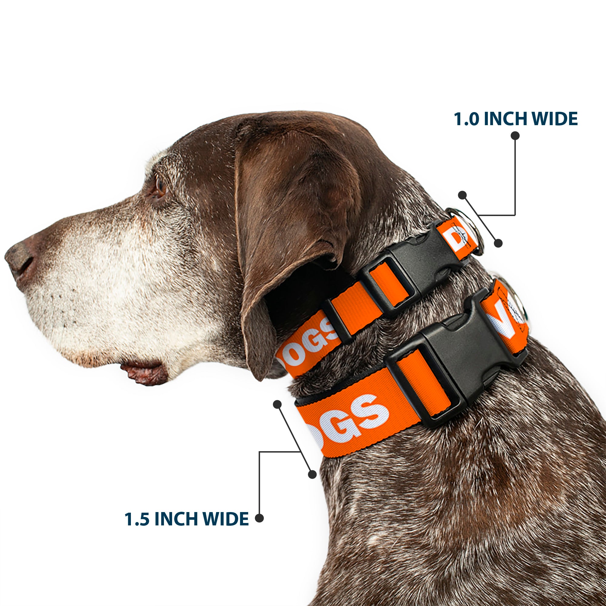 Plastic Clip Collar - Pet Quote NO DOGS Orange/White Plastic Clip Collars Buckle-Down