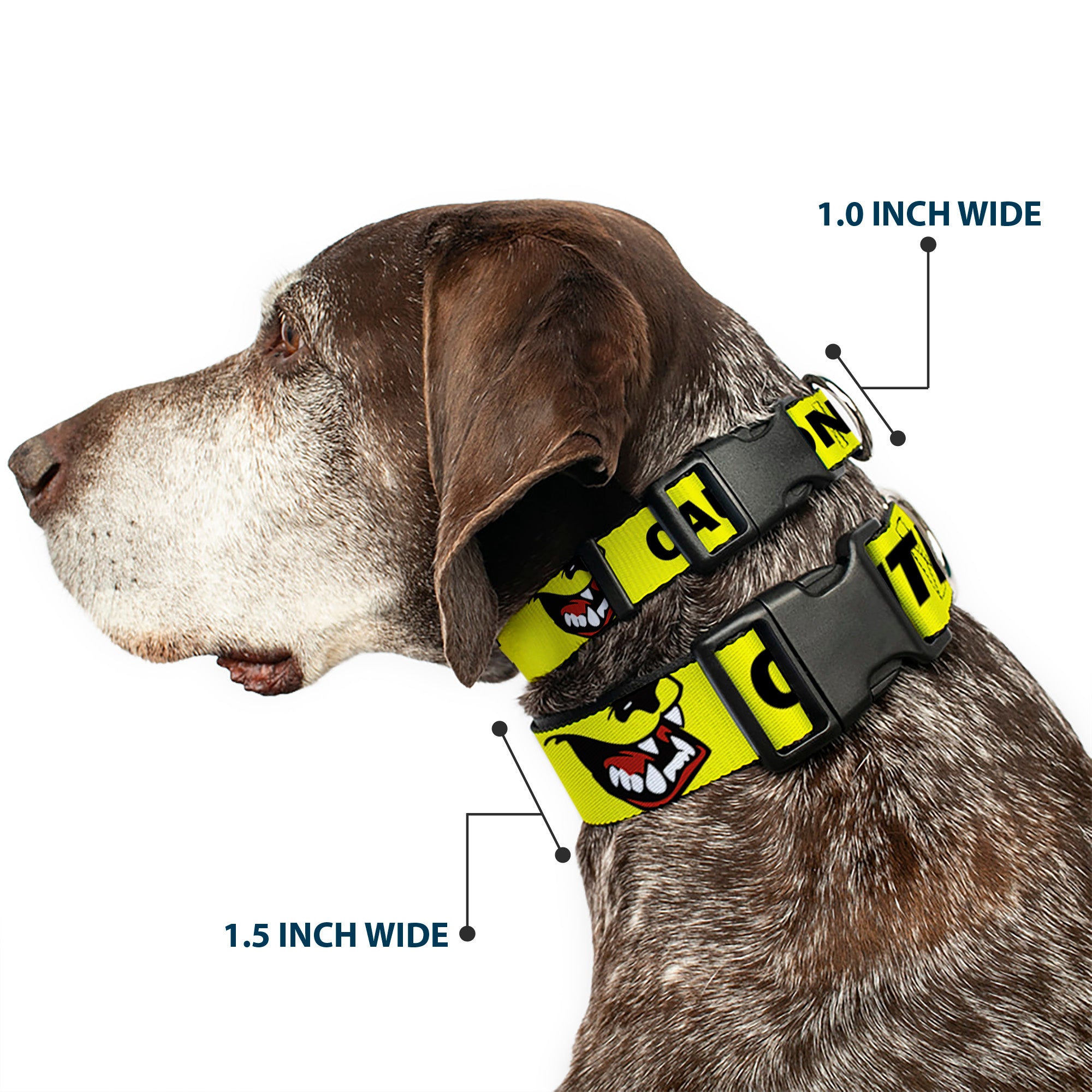 Plastic Clip Collar - Pet Quote CAUTION I BITE/Dog Growl Yellow/Black Plastic Clip Collars Buckle-Down