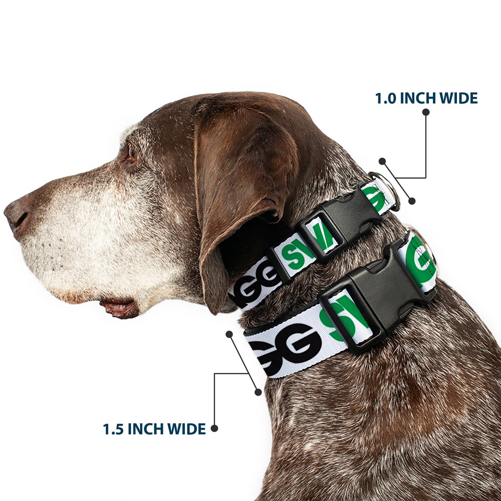 Plastic Clip Collar - SWAGG White/Black/Green Plastic Clip Collars Buckle-Down