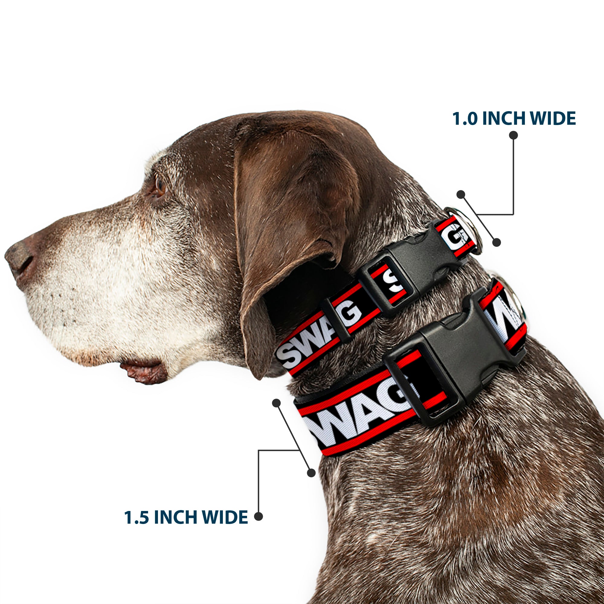 Plastic Clip Collar - SWAGG Black/White/Red Stripe Plastic Clip Collars Buckle-Down