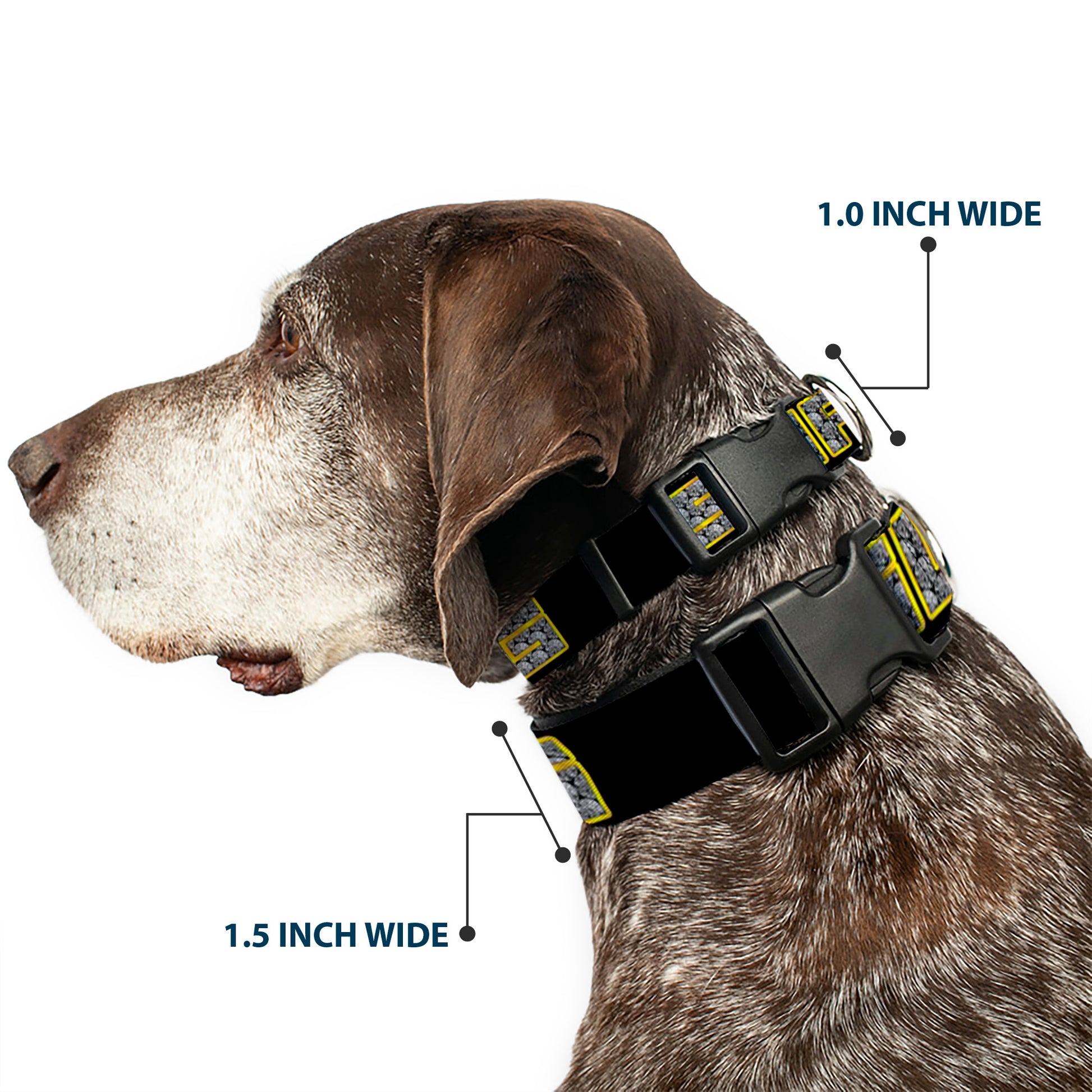 Plastic Clip Collar - SWAG Black/Bling Plastic Clip Collars Buckle-Down