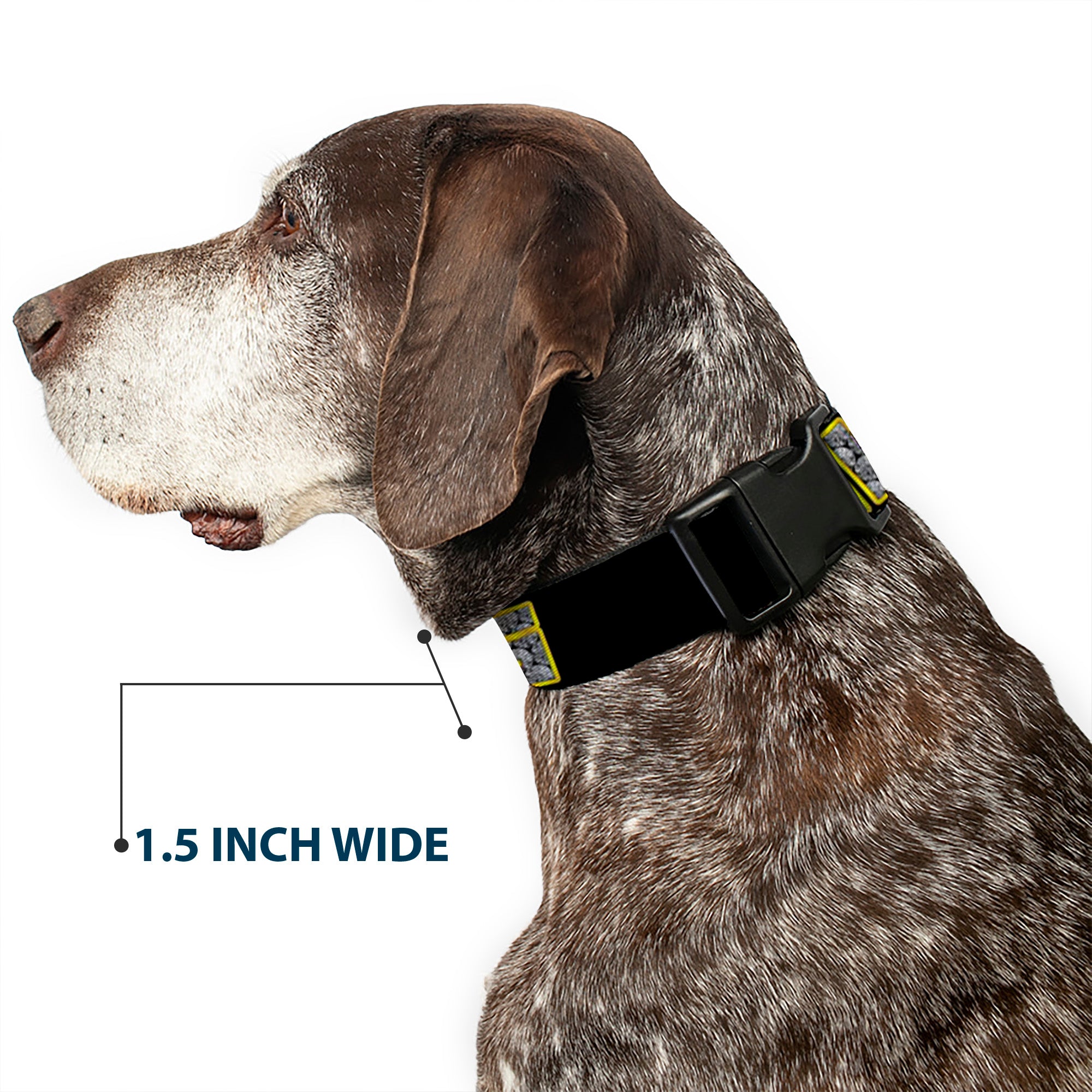 Plastic Clip Collar - SWAG Black/Bling Plastic Clip Collars Buckle-Down