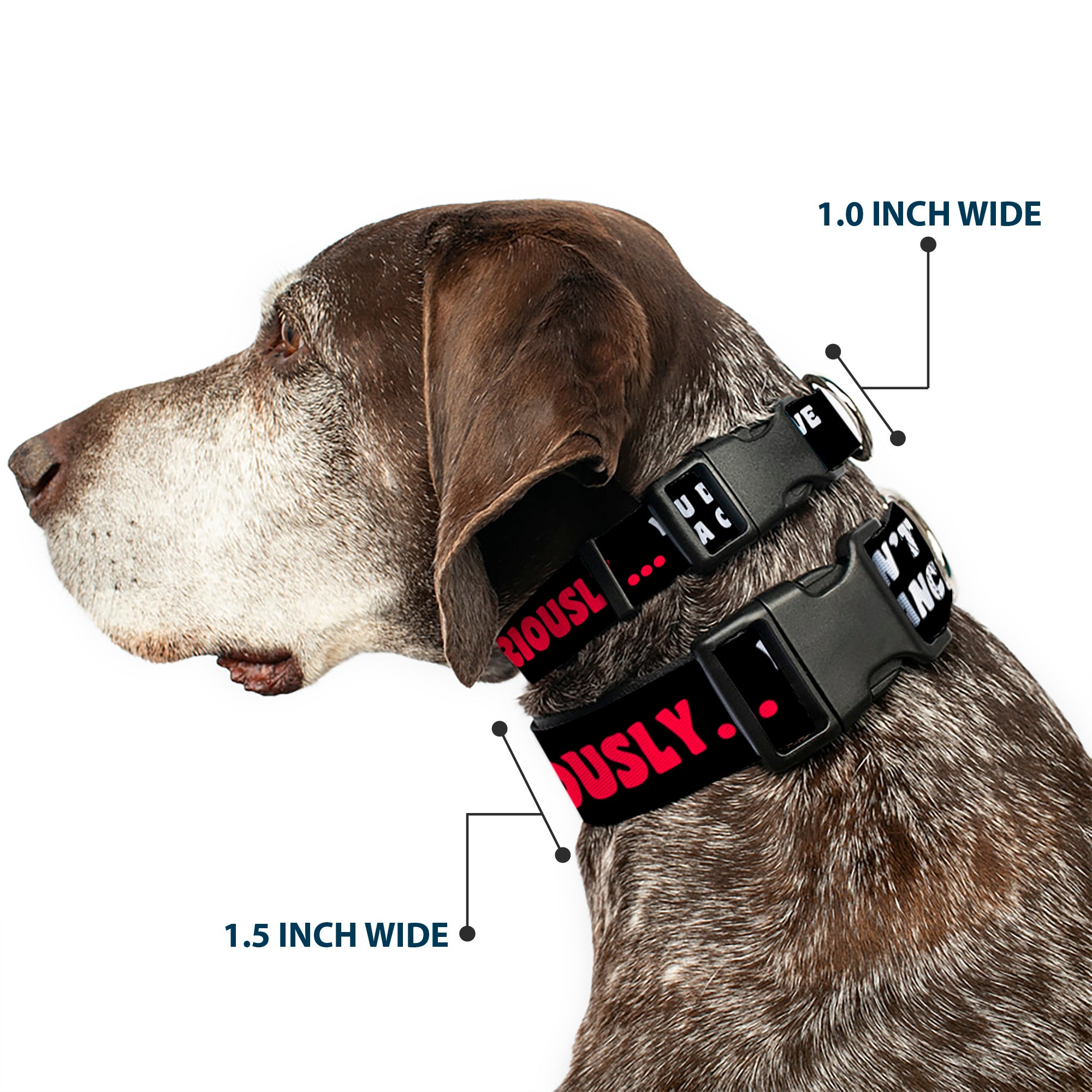 Plastic Clip Collar - SERIOUSLYâ€¦YOU DON'T HAVE A CHANCE Black/Red/White Plastic Clip Collars Buckle-Down