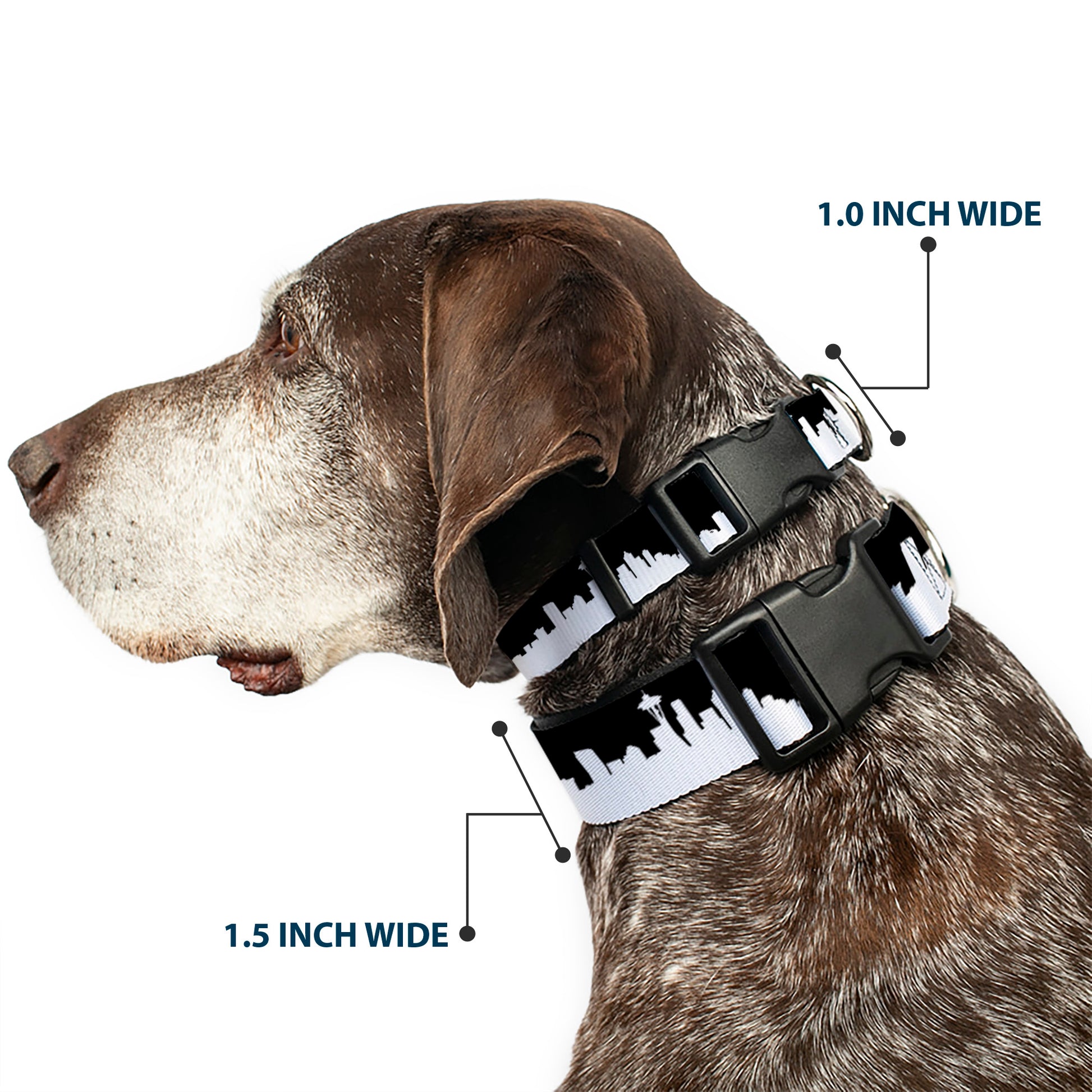 Plastic Clip Collar - Seattle Solid Skyline Black/White Plastic Clip Collars Buckle-Down