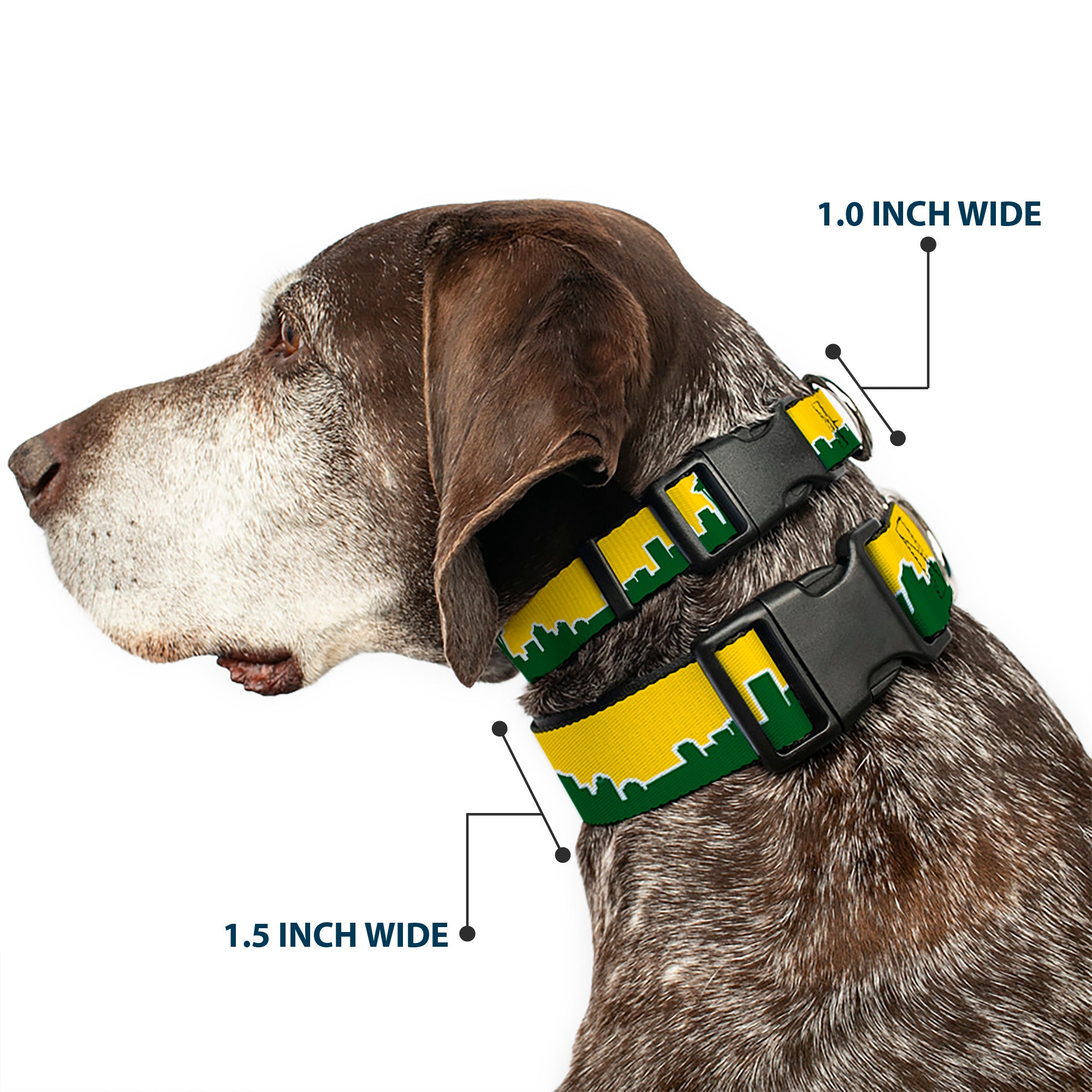 Plastic Clip Collar - Seattle Skyline Yellow/Emerald Green Plastic Clip Collars Buckle-Down