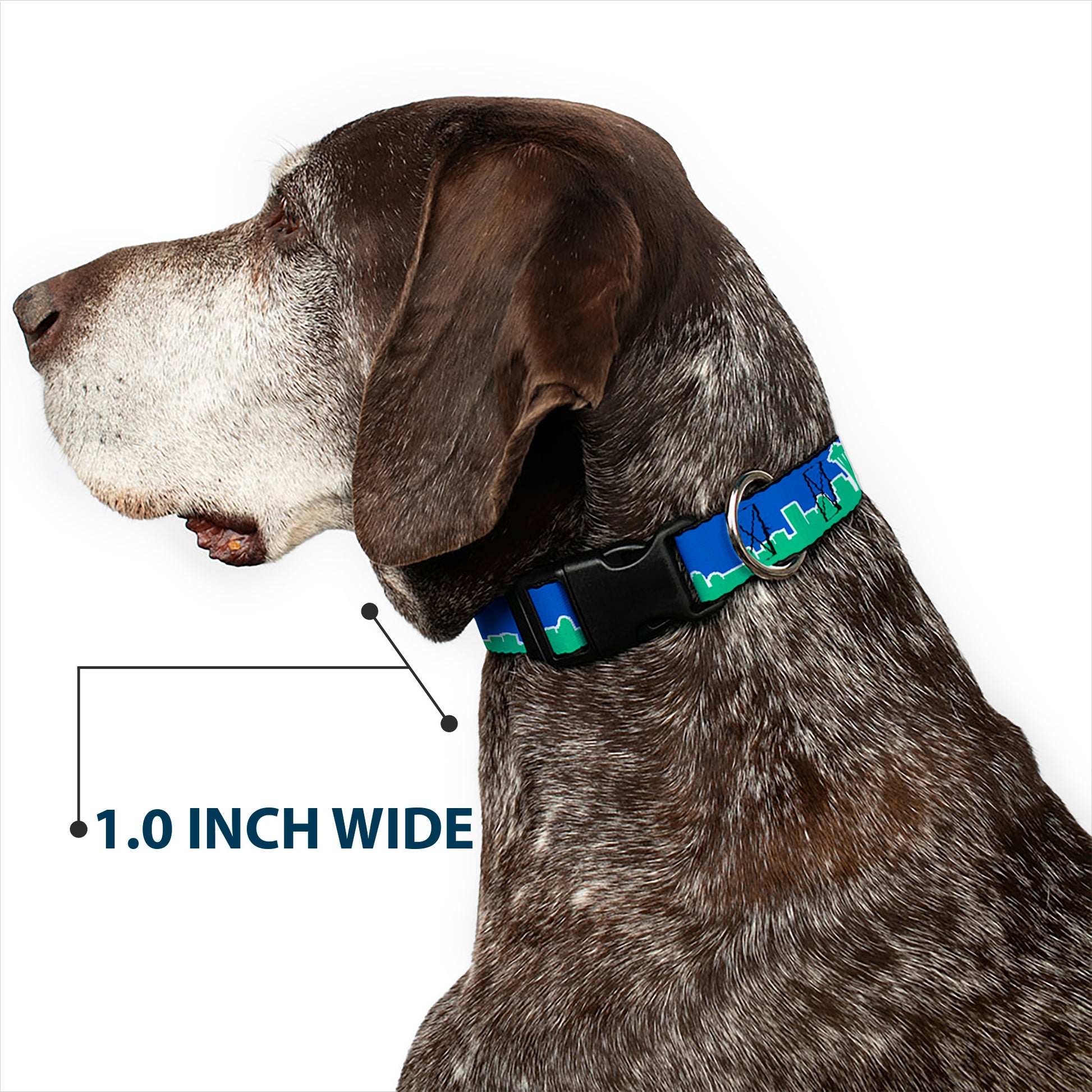 Plastic Clip Collar - Seattle Skyline Blue/Green Plastic Clip Collars Buckle-Down