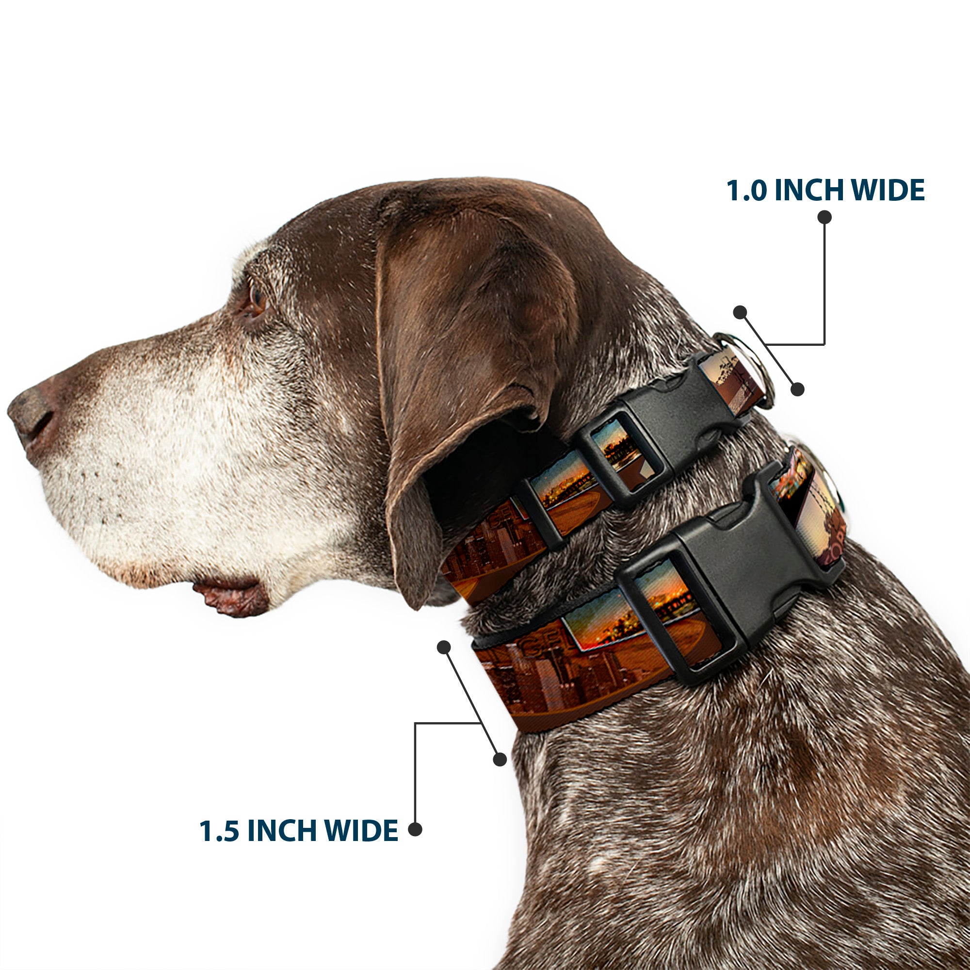 Plastic Clip Collar - Surfboard Cali Scenes/US Flag Stacked Brown Plastic Clip Collars Buckle-Down