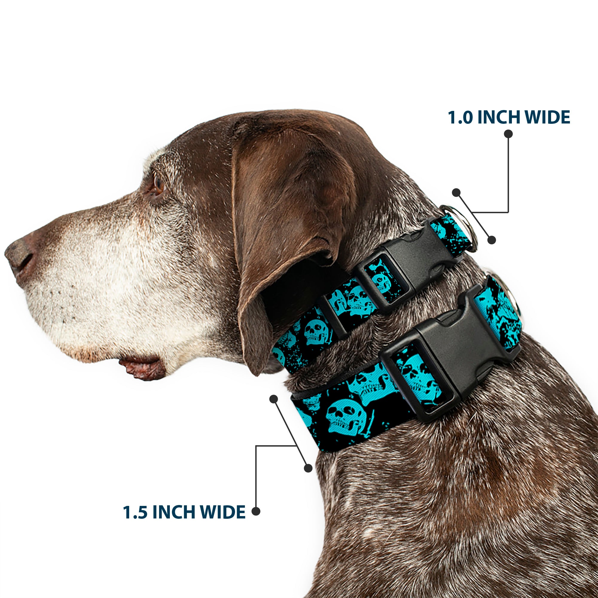 Plastic Clip Collar - Skulls Stacked Weathered Black/Teal Plastic Clip Collars Buckle-Down