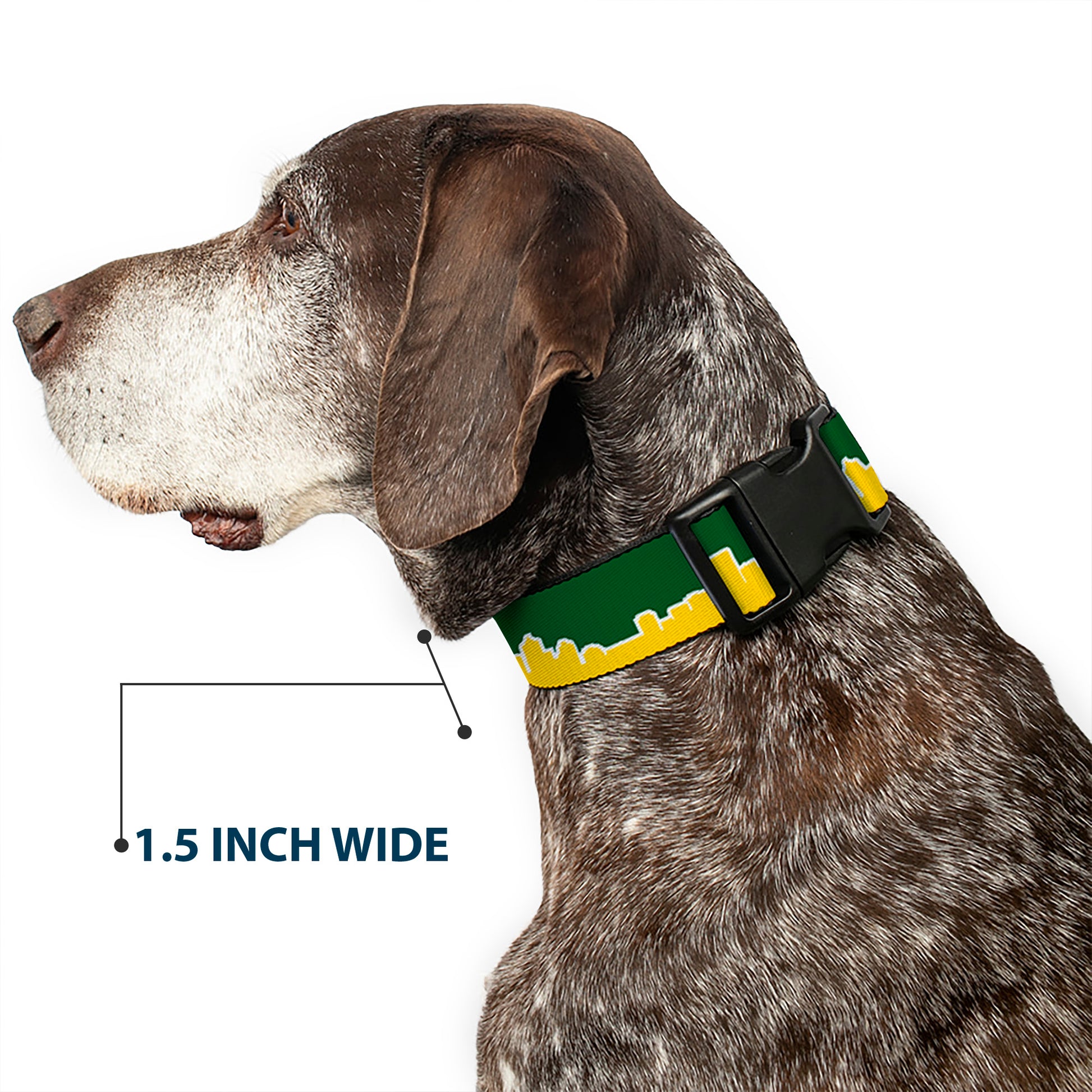 Plastic Clip Collar - Seattle Skyline Green/Yellow Plastic Clip Collars Buckle-Down