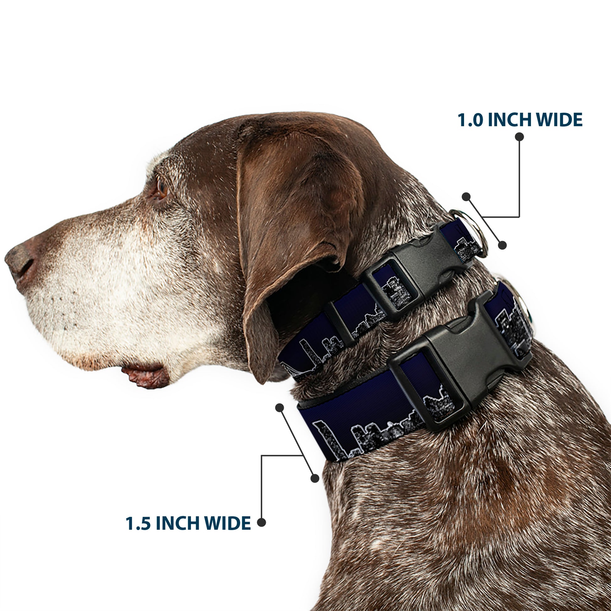Plastic Clip Collar - San Francisco Vivid Skyline Midnight Blue Plastic Clip Collars Buckle-Down