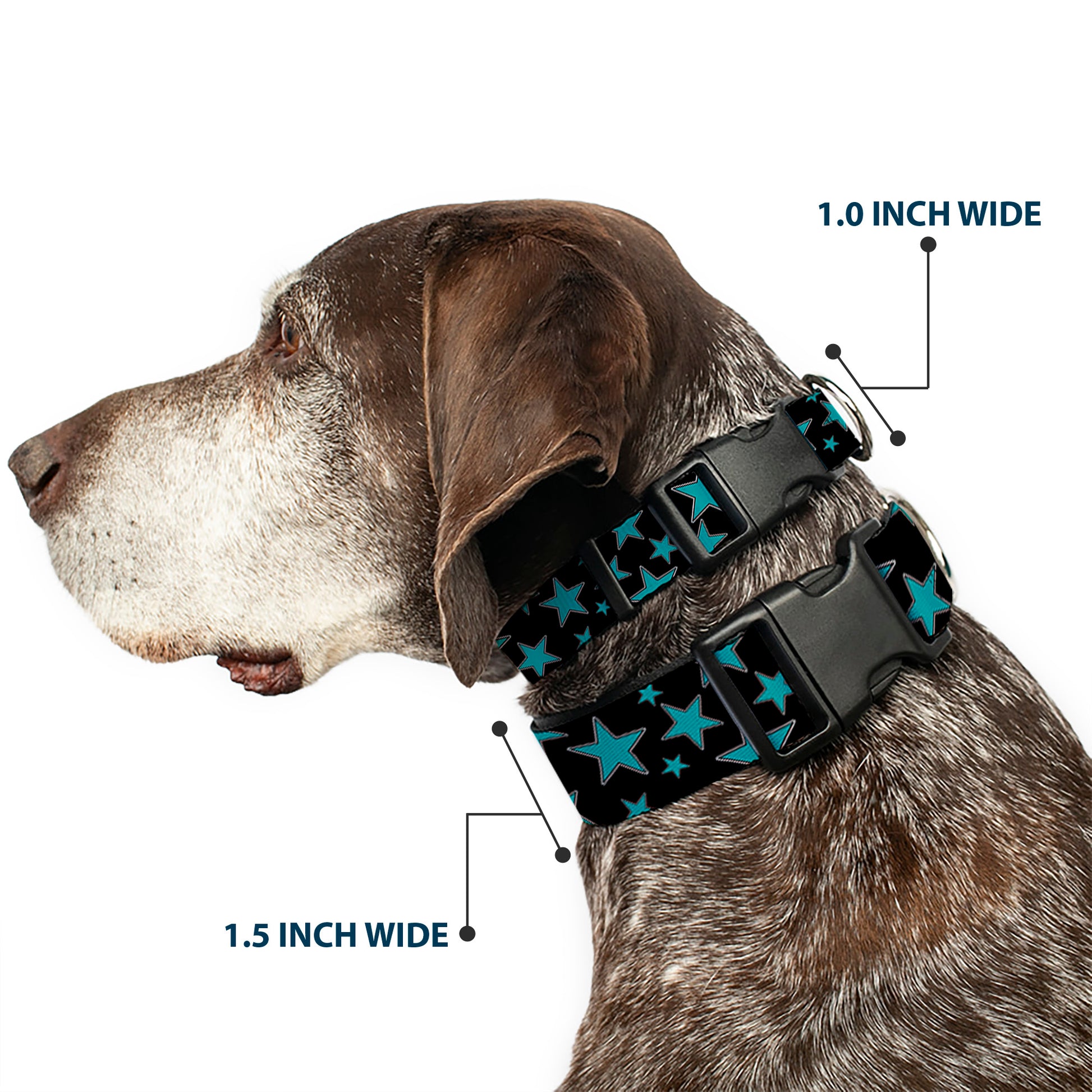 Plastic Clip Collar - Stars/Multi Stars Black/Turquoise Plastic Clip Collars Buckle-Down
