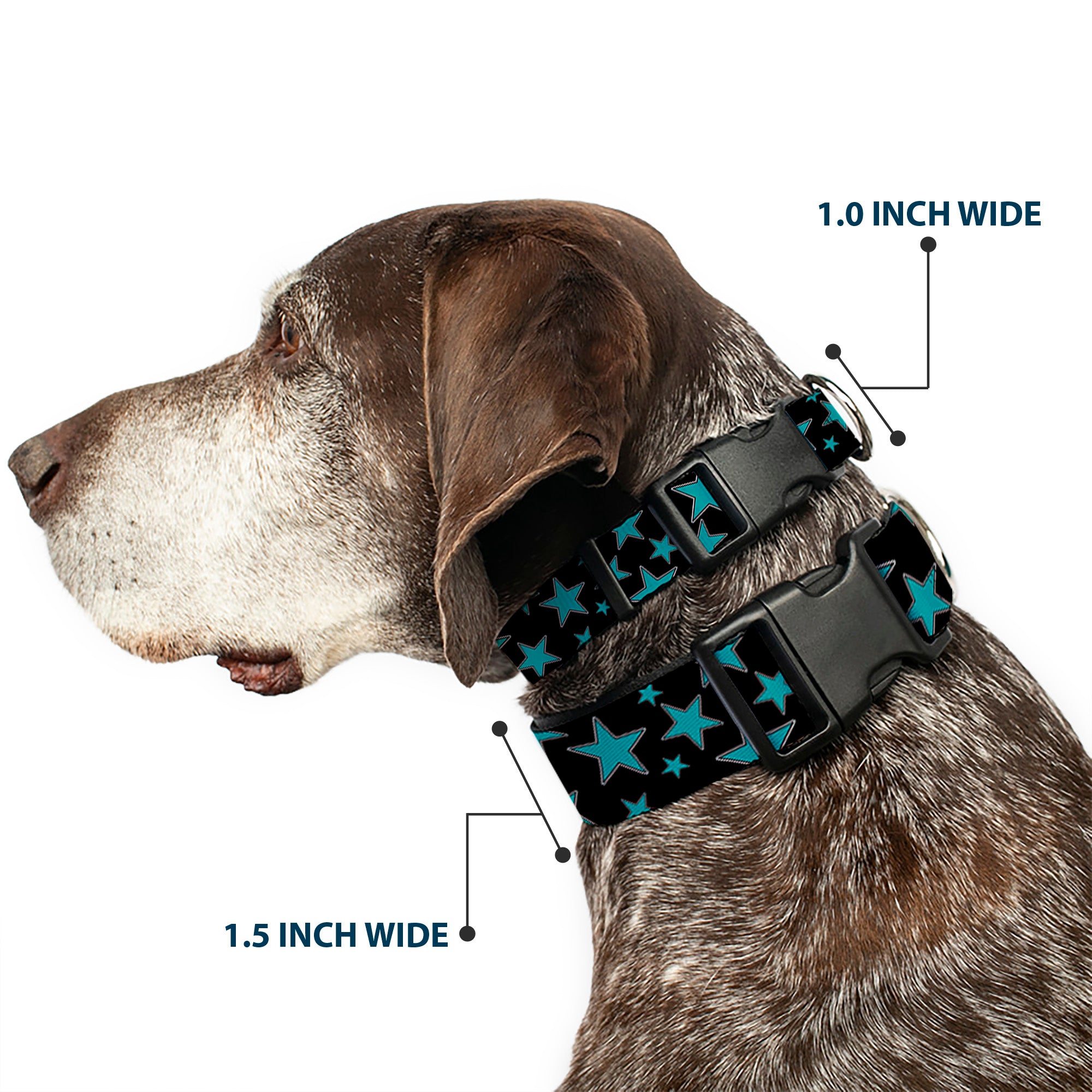 Plastic Clip Collar - Stars/Multi Stars Black/Turquoise Plastic Clip Collars Buckle-Down
