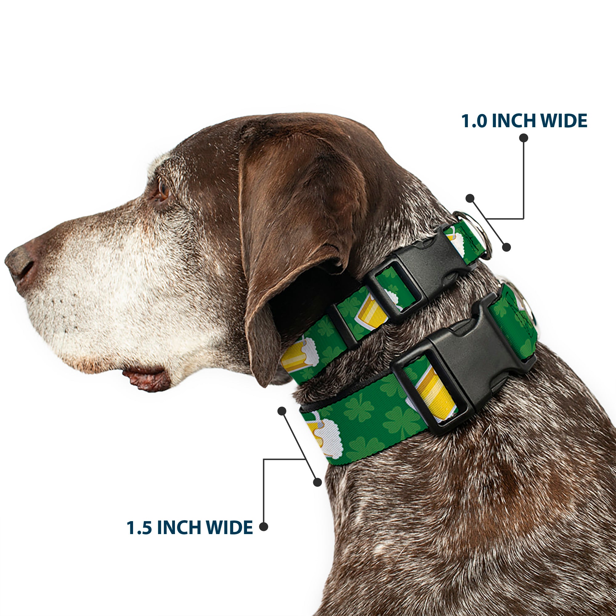 Plastic Clip Collar - St. Pat's Clovers/Beer Mugs Greens Plastic Clip Collars Buckle-Down