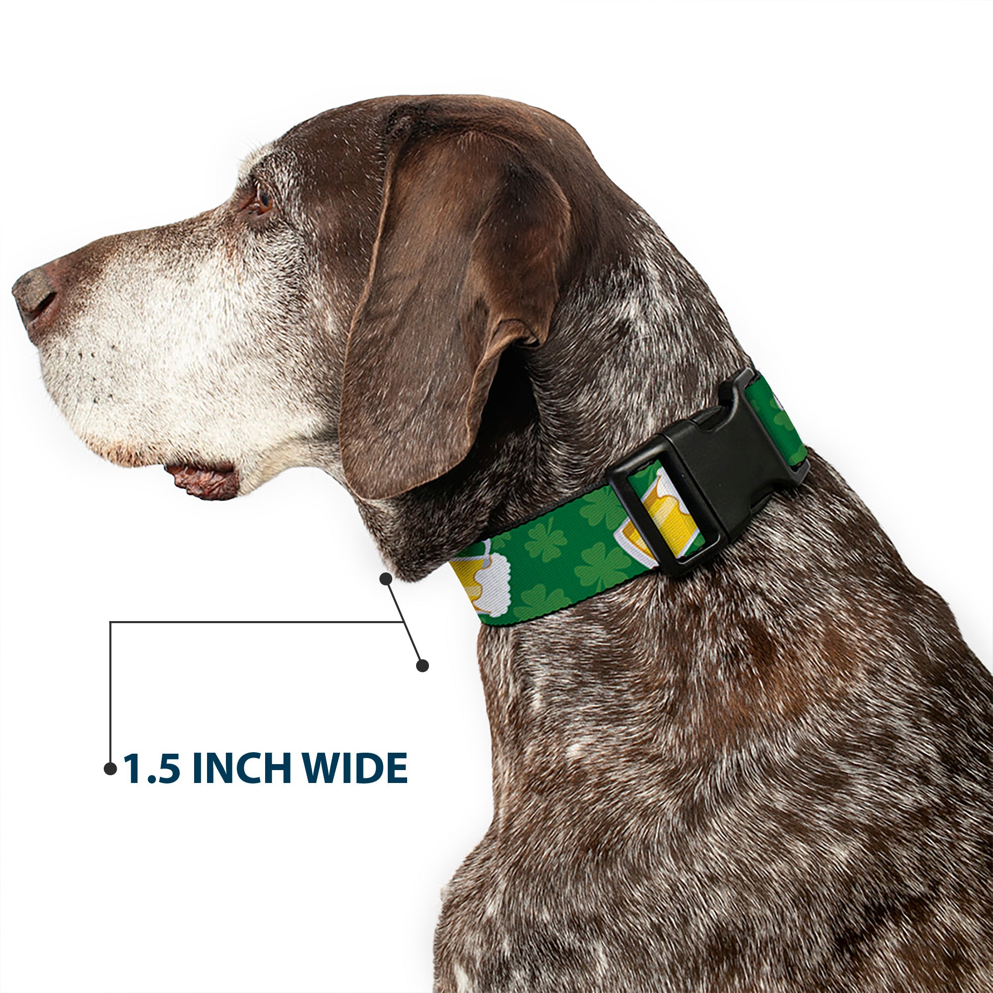 Plastic Clip Collar - St. Pat's Clovers/Beer Mugs Greens Plastic Clip Collars Buckle-Down