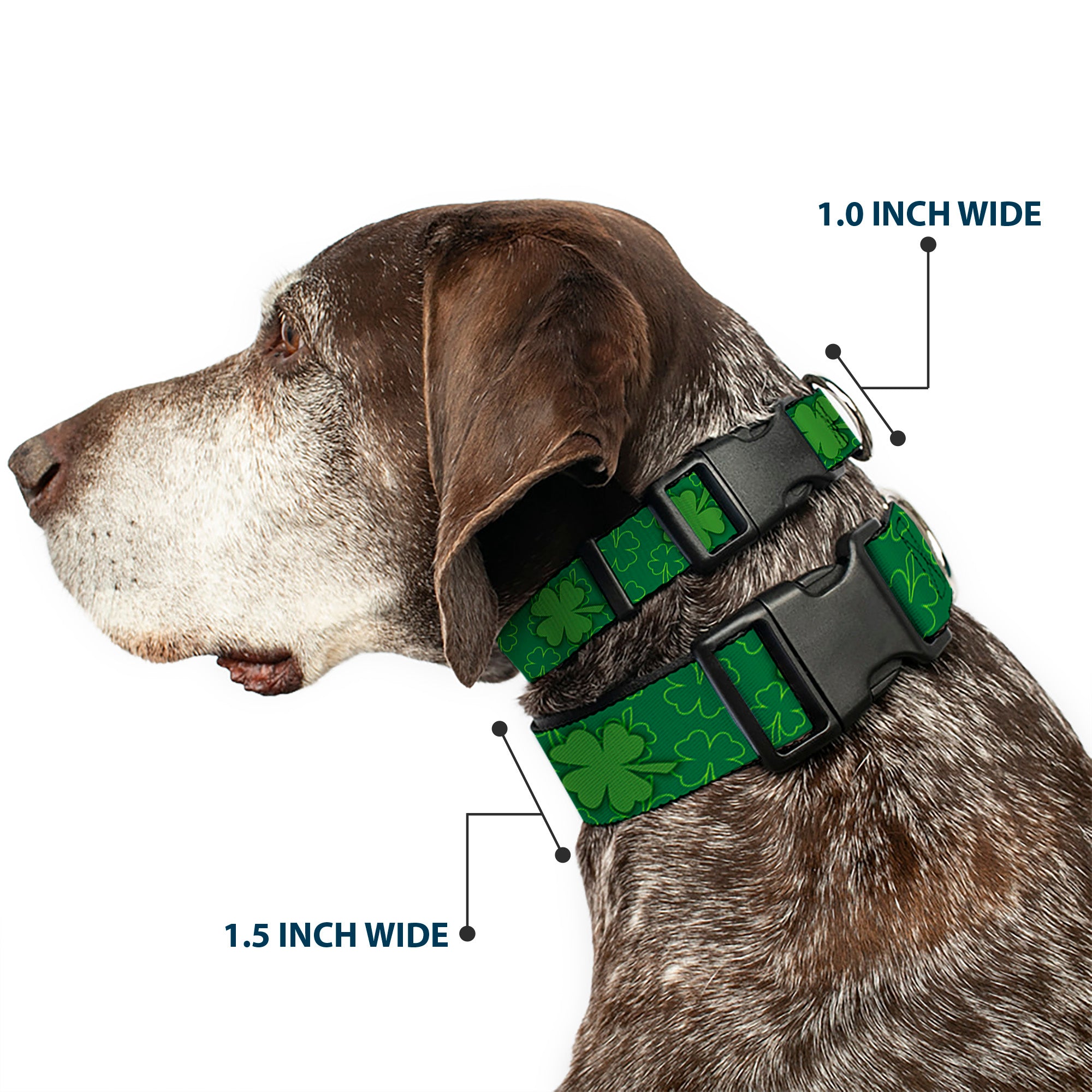 Plastic Clip Collar - St. Pat's Clovers Scattered2 Outline/Solid Greens Plastic Clip Collars Buckle-Down