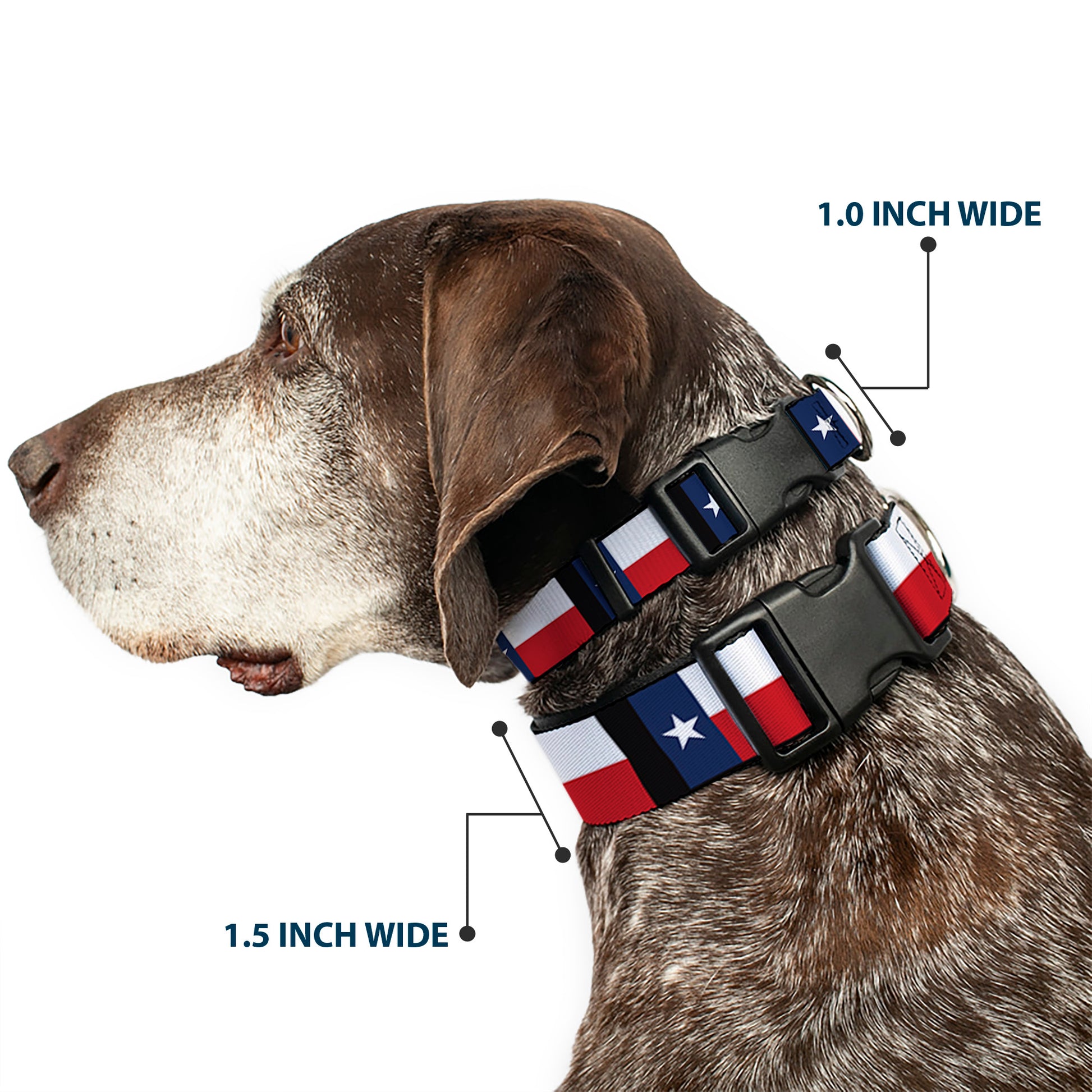 Plastic Clip Collar - Texas Flag/Black Plastic Clip Collars Buckle-Down