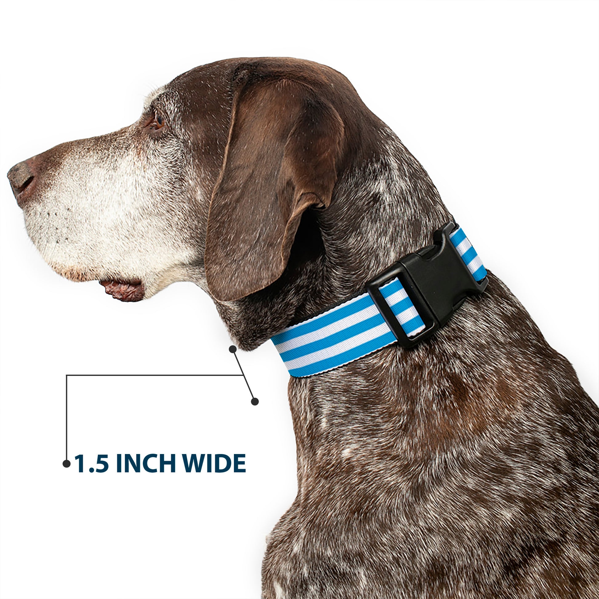 Plastic Clip Collar - Triple Stripe White/Blue Plastic Clip Collars Buckle-Down