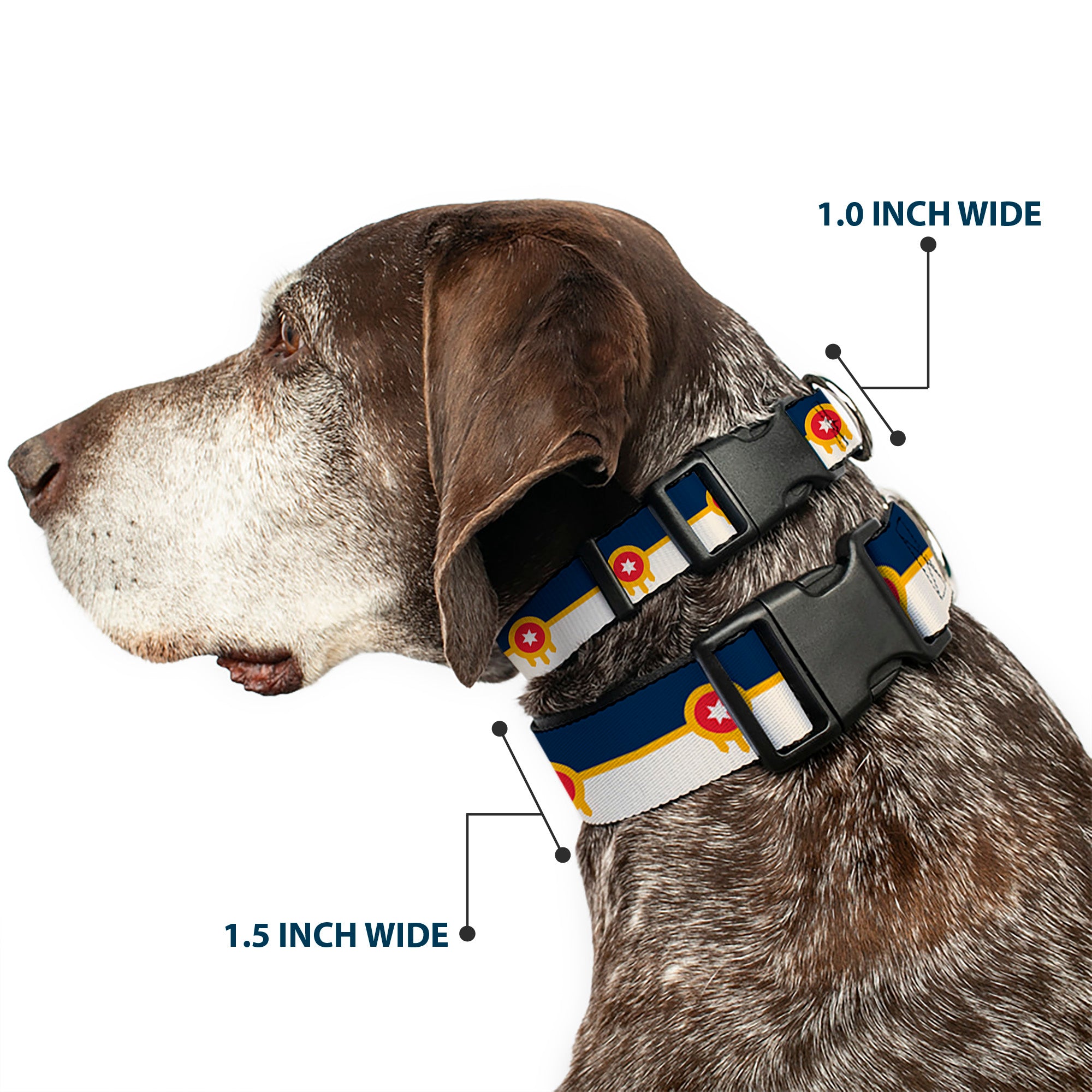 Plastic Clip Collar - Tulsa Oklahoma City Flag Navy Blue/Gold/Red/Beige Plastic Clip Collars Buckle-Down