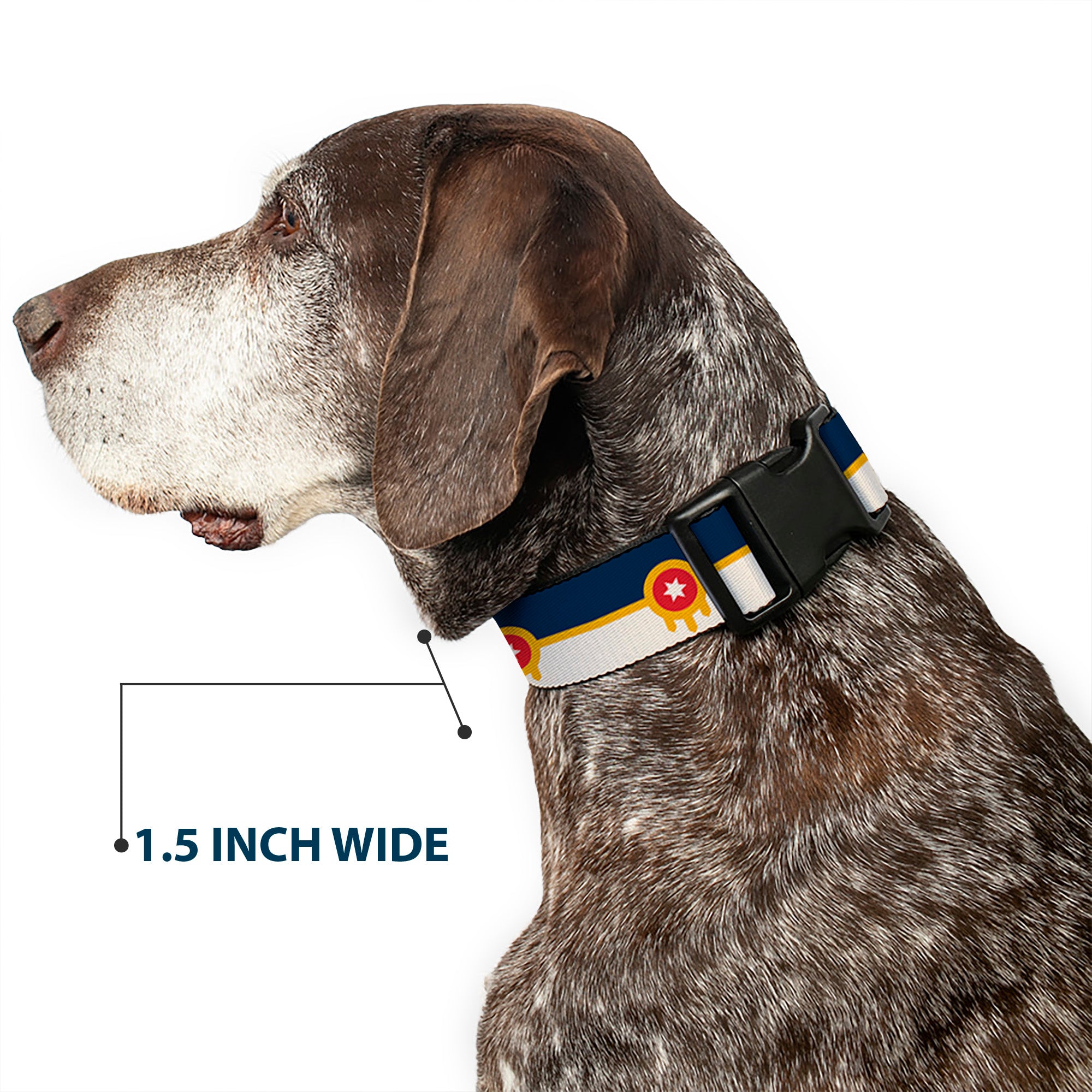 Plastic Clip Collar - Tulsa Oklahoma City Flag Navy Blue/Gold/Red/Beige Plastic Clip Collars Buckle-Down