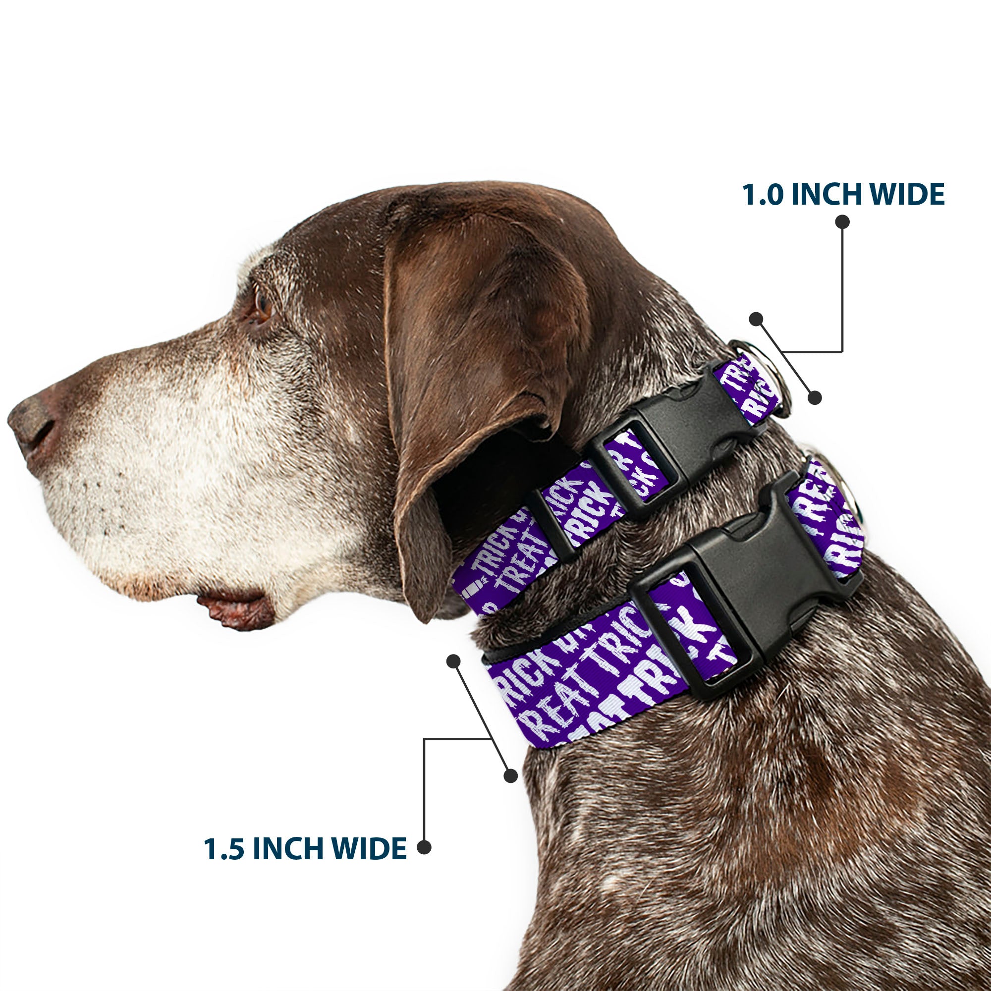 Plastic Clip Collar - TRICK OR TREAT Text Collage Purple/White Plastic Clip Collars Buckle-Down