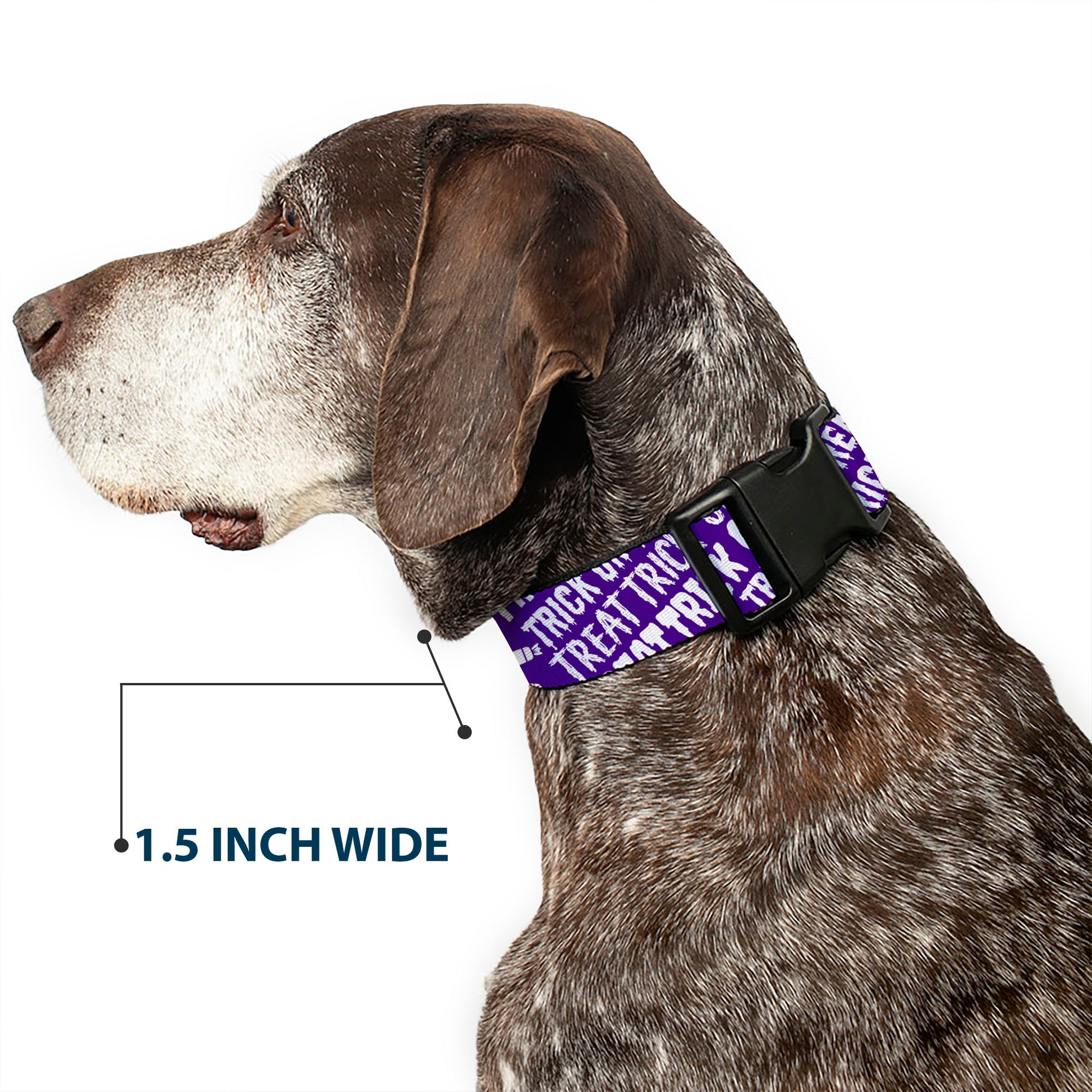 Plastic Clip Collar - TRICK OR TREAT Text Collage Purple/White Plastic Clip Collars Buckle-Down