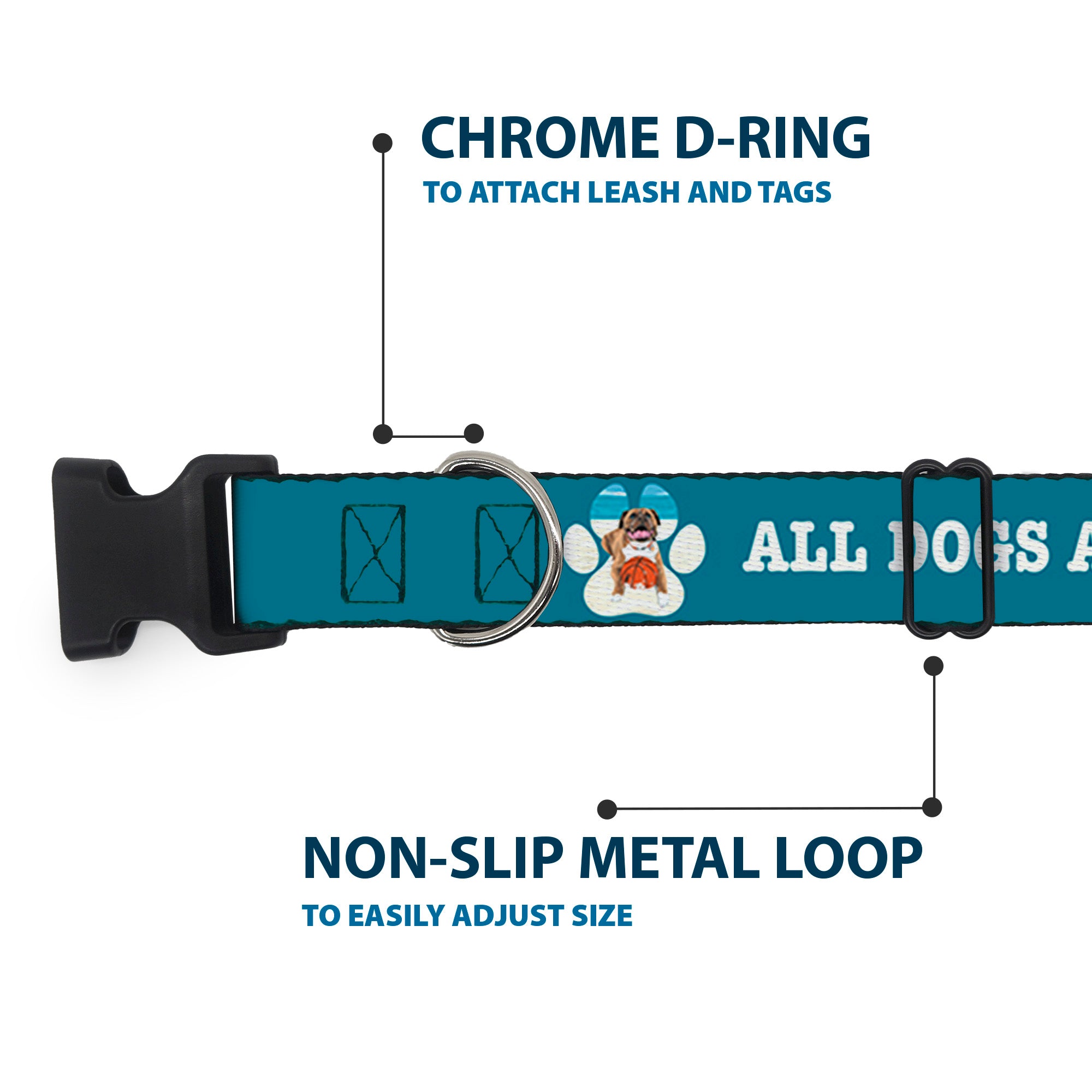 Plastic Clip Collar - BEACH DAWG CARE ALL DOGS ARE EQUAL Turquoise/White Plastic Clip Collars Buckle-Down
