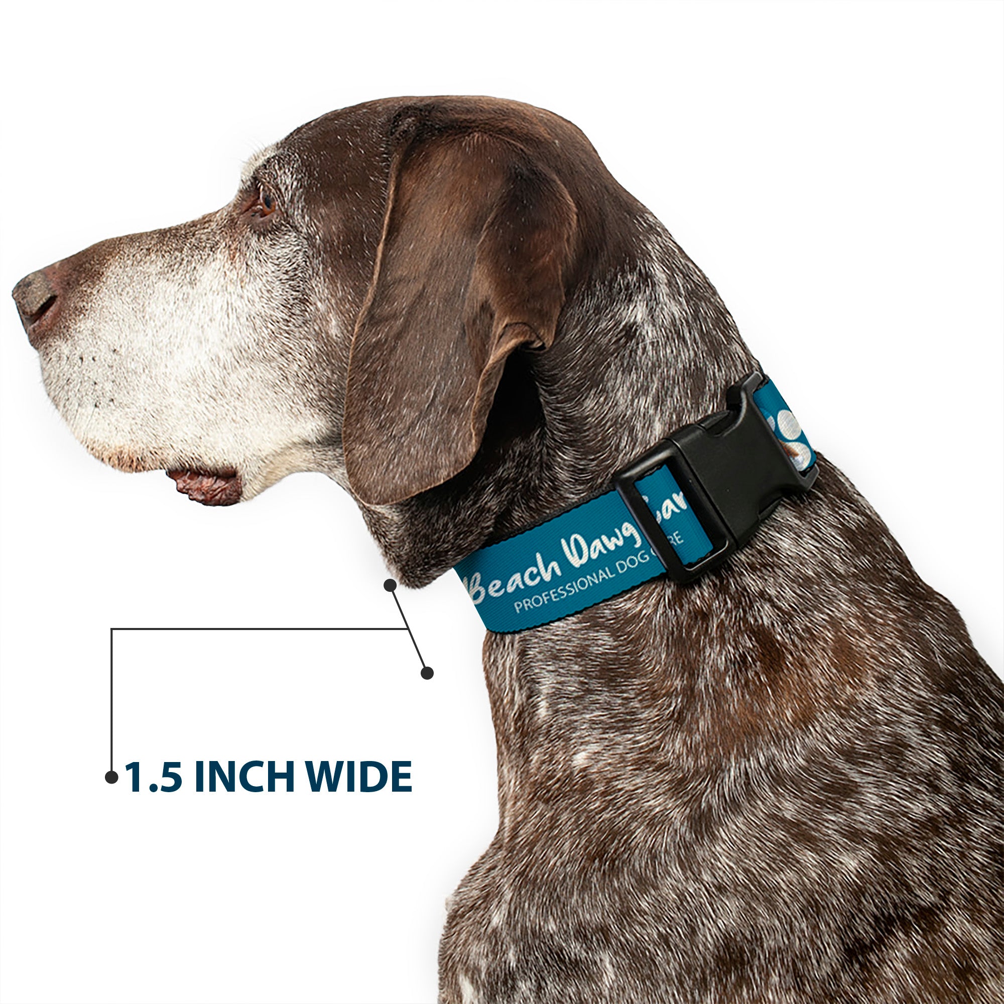 Plastic Clip Collar - BEACH DAWG CARE ALL DOGS ARE EQUAL Turquoise/White Plastic Clip Collars Buckle-Down
