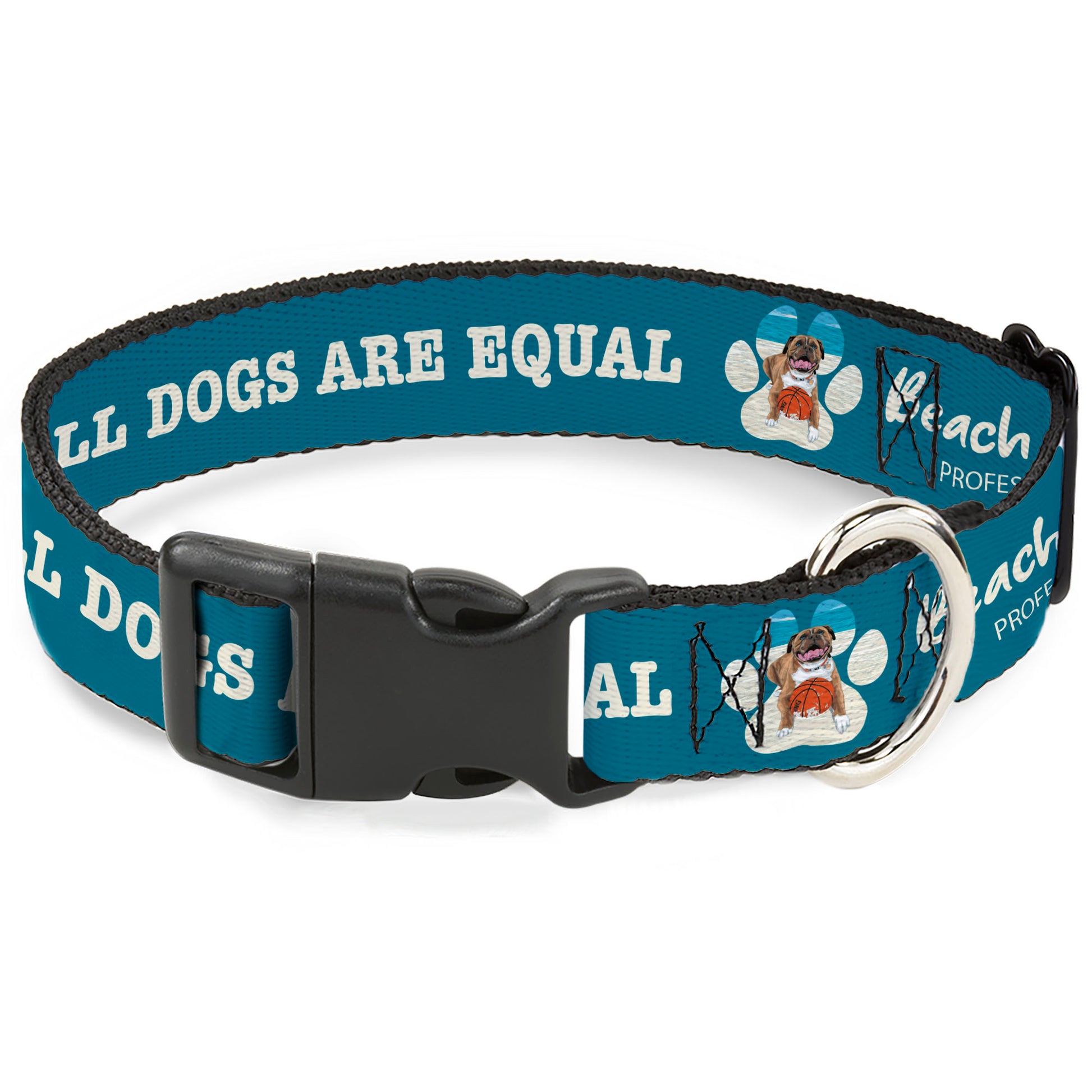 Plastic Clip Collar - BEACH DAWG CARE ALL DOGS ARE EQUAL Turquoise/White Plastic Clip Collars Buckle-Down