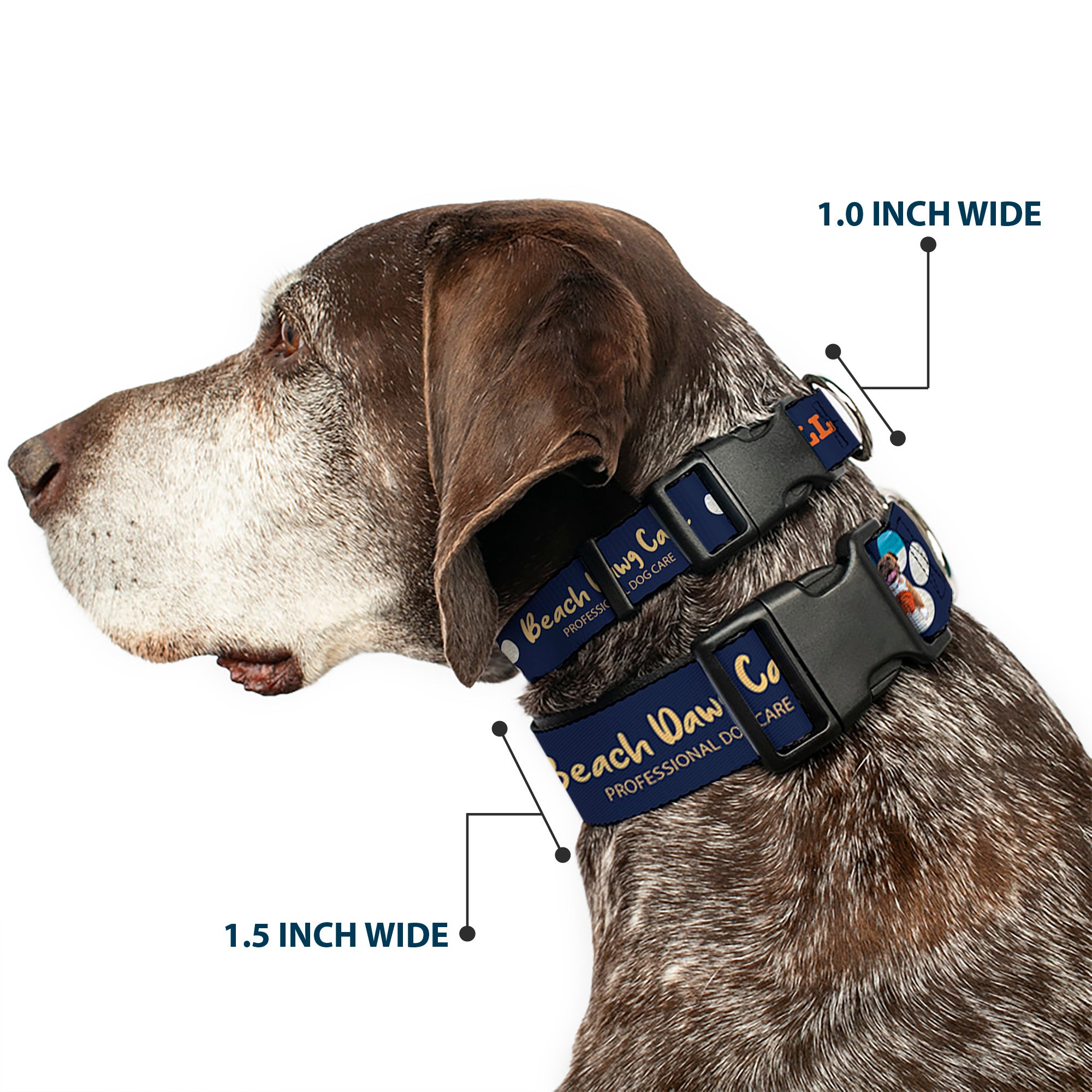 Plastic Clip Collar - BEACH DAWG CARE ALL DOGS ARE EQUAL Navy/Oange Plastic Clip Collars Buckle-Down