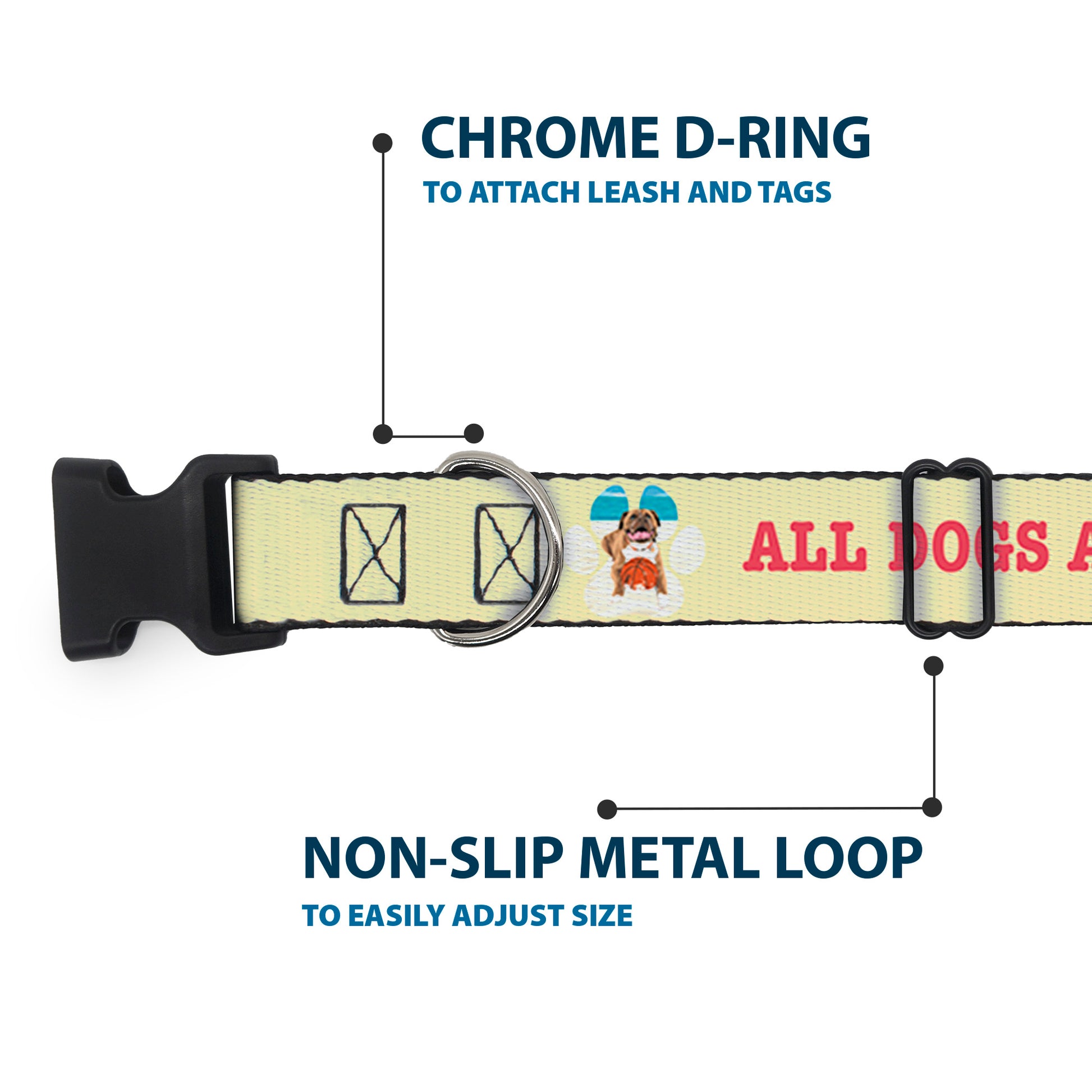 Plastic Clip Collar - BEACH DAWG CARE ALL DOGS ARE EQUAL Cream/Pink Plastic Clip Collars Buckle-Down