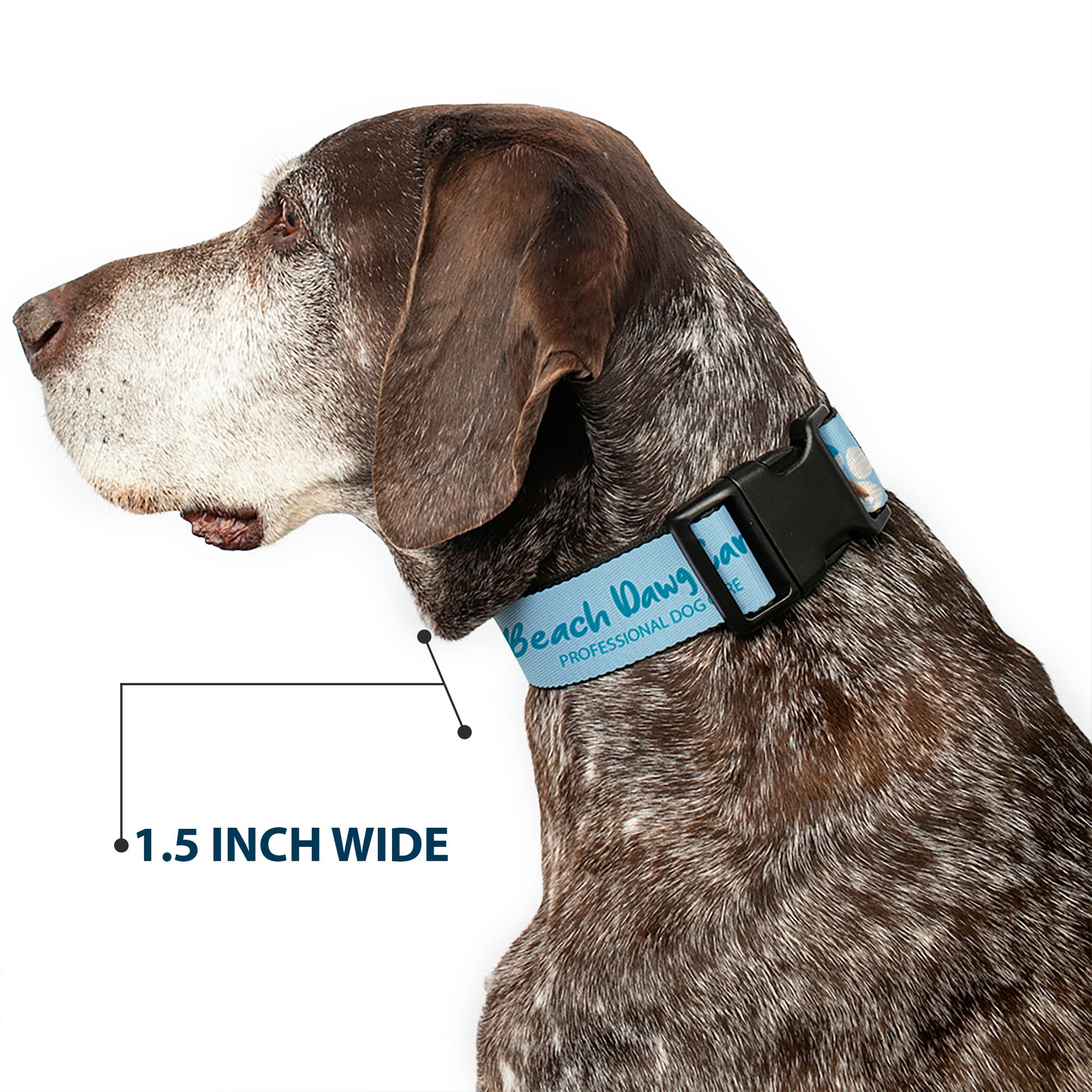 Plastic Clip Collar - BEACH DAWG CARE ALL DOGS ARE EQUAL Blues Plastic Clip Collars Buckle-Down