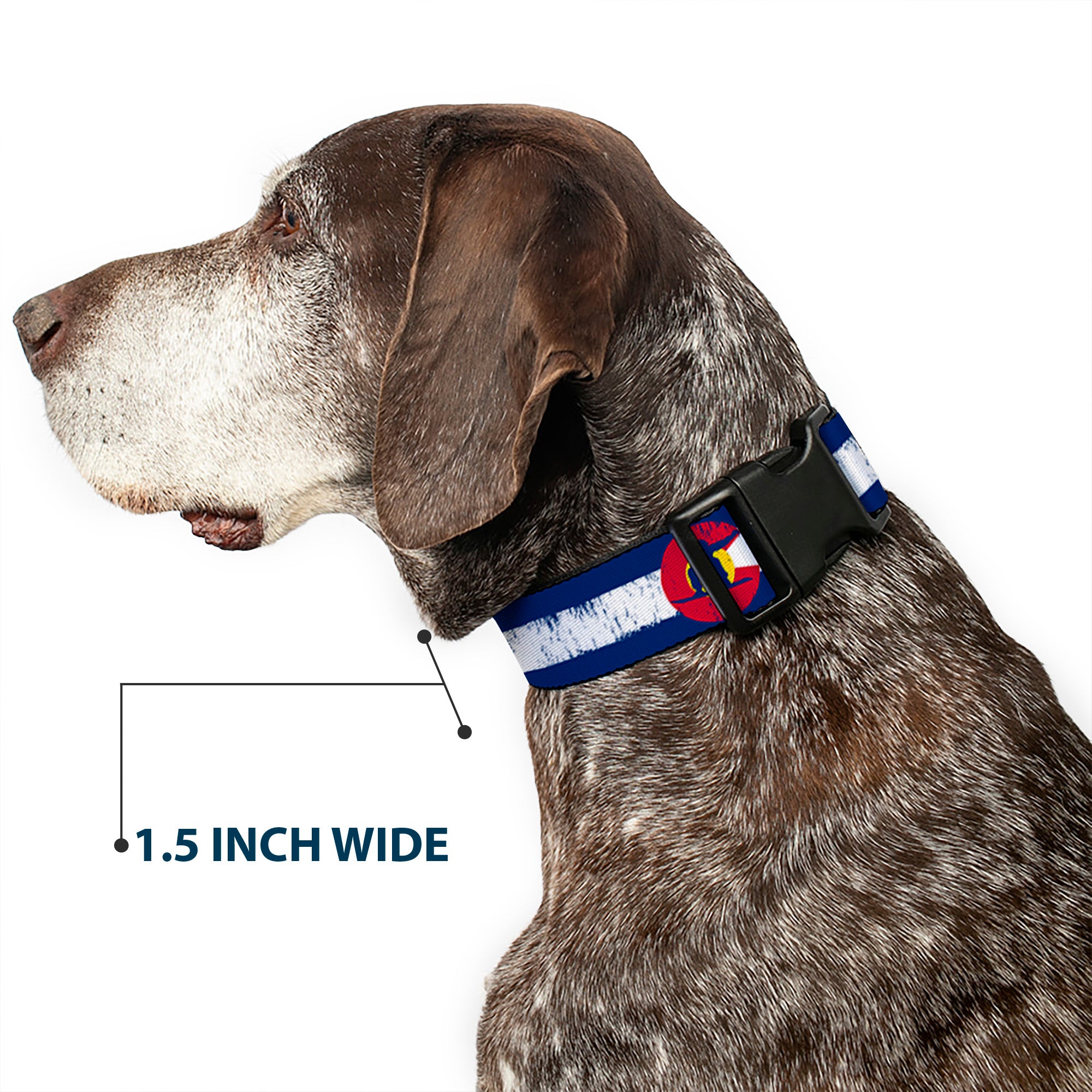 Plastic Clip Collar - Colorado Flag/Snowboarder Weathered Plastic Clip Collars Buckle-Down