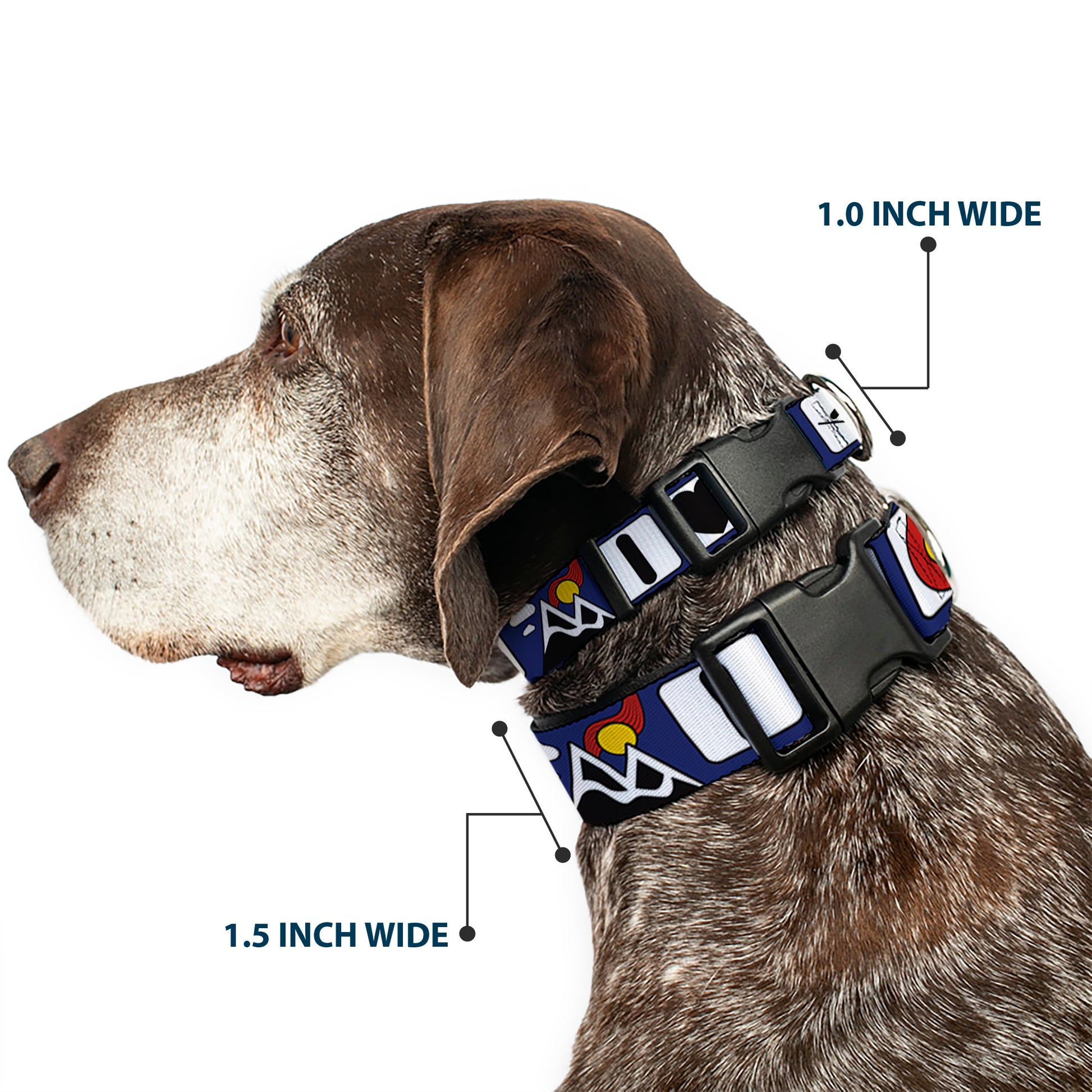 Plastic Clip Collar - I HEART COLORADO SKIING Logos/Mountain Plastic Clip Collars Buckle-Down