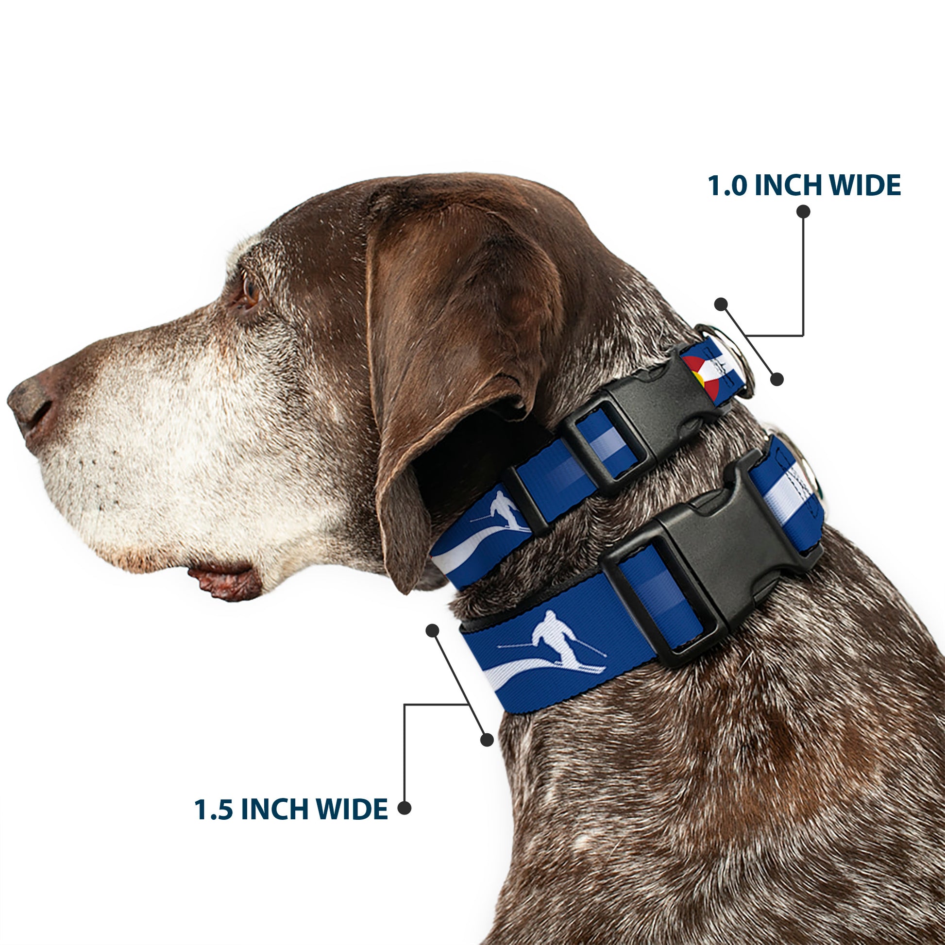 Plastic Clip Collar - Colorado Skier2 Blue/White/Red/Yellow Plastic Clip Collars Buckle-Down