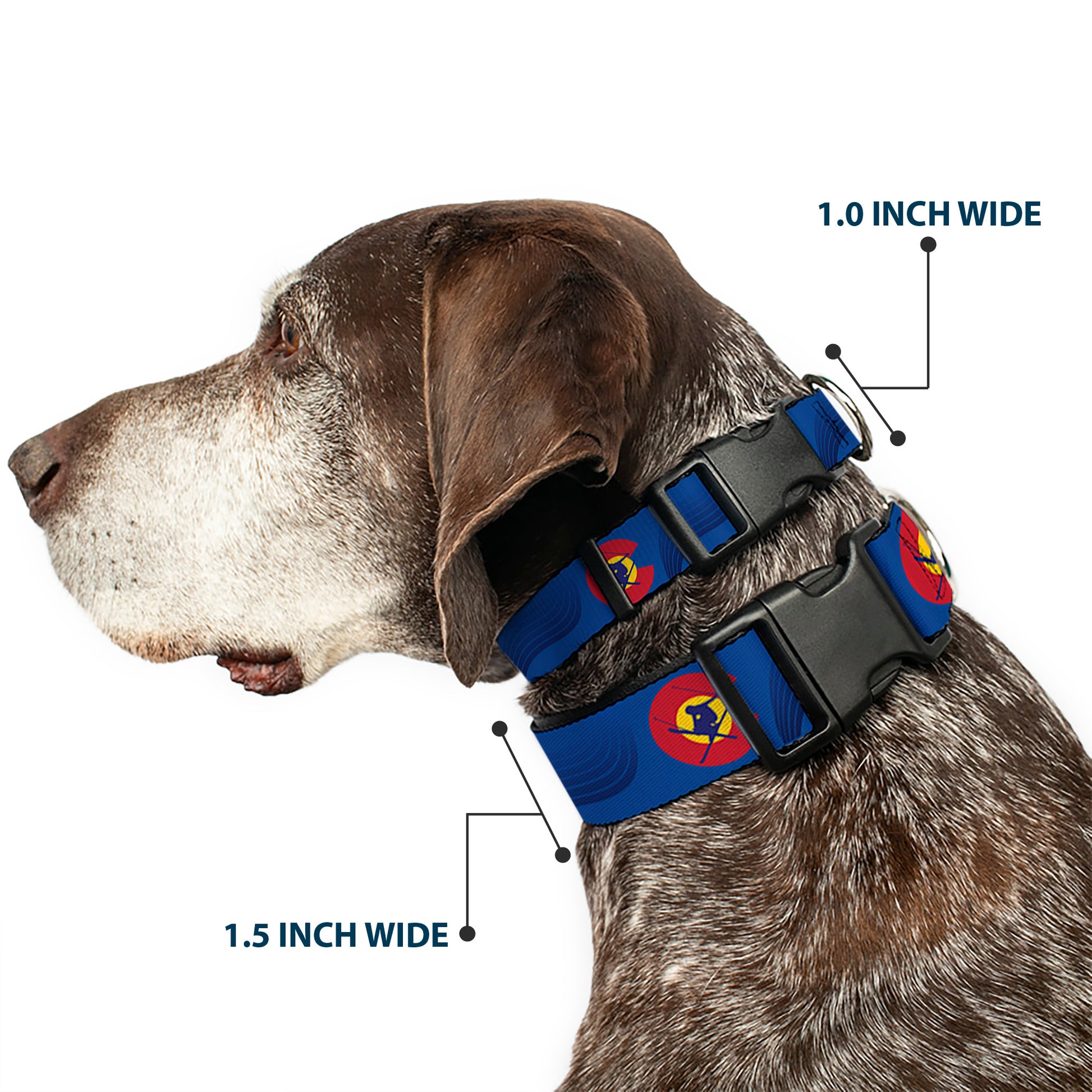 Plastic Clip Collar - Colorado Skier3 Blues/Red/Yellow Plastic Clip Collars Buckle-Down