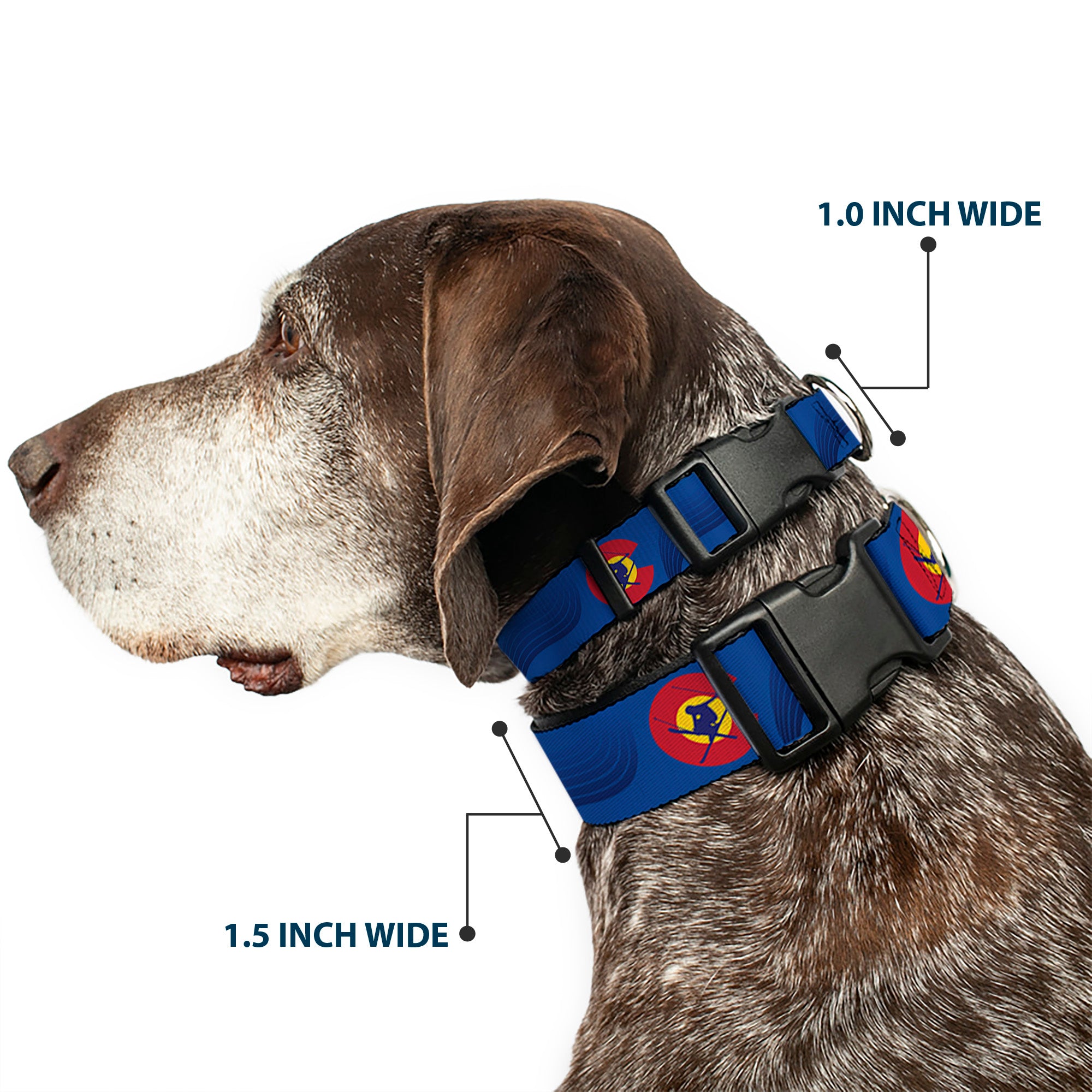 Plastic Clip Collar - Colorado Skier3 Blues/Red/Yellow Plastic Clip Collars Buckle-Down