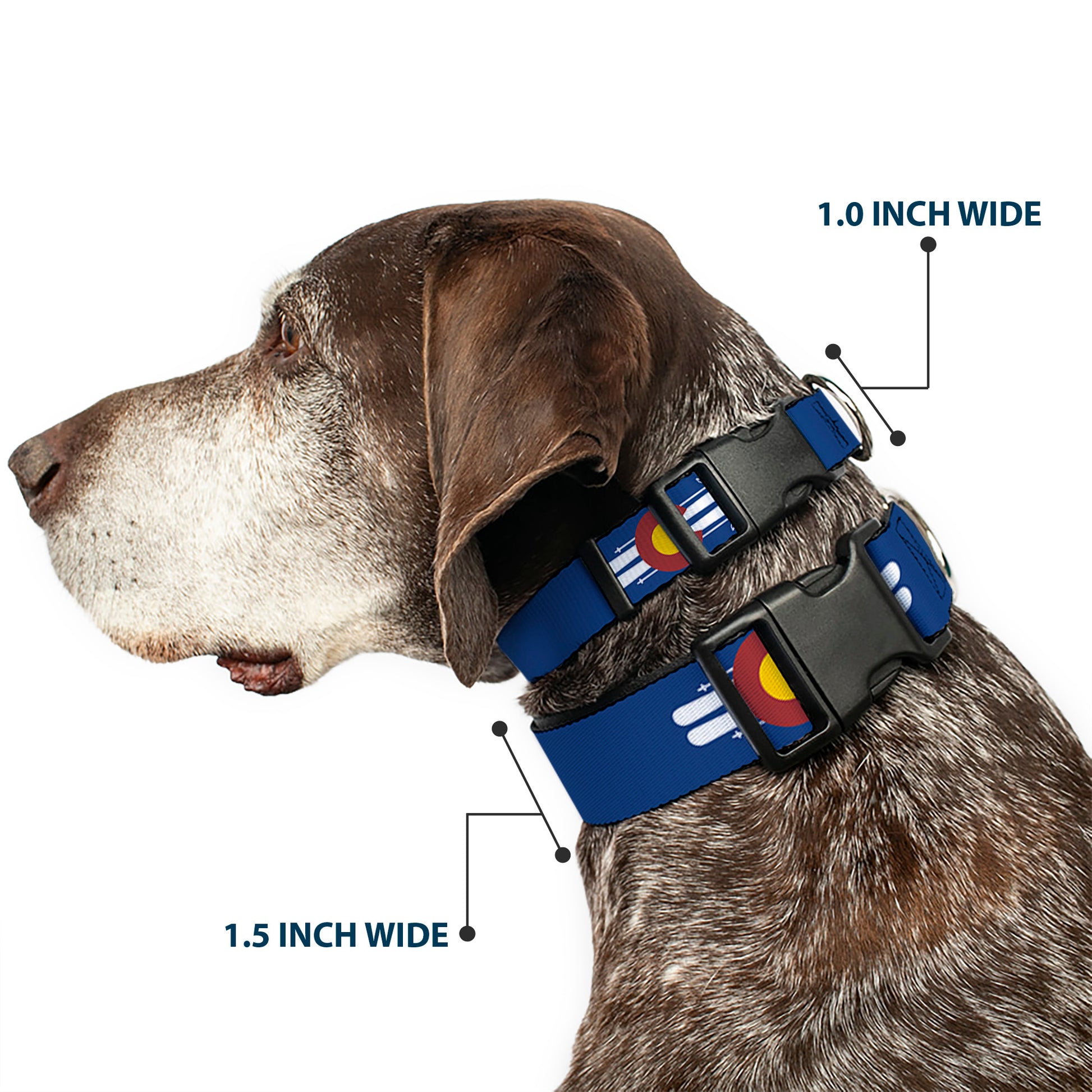 Plastic Clip Collar - Colorado Logo/Skis Blue/White/Red/Yellow Plastic Clip Collars Buckle-Down